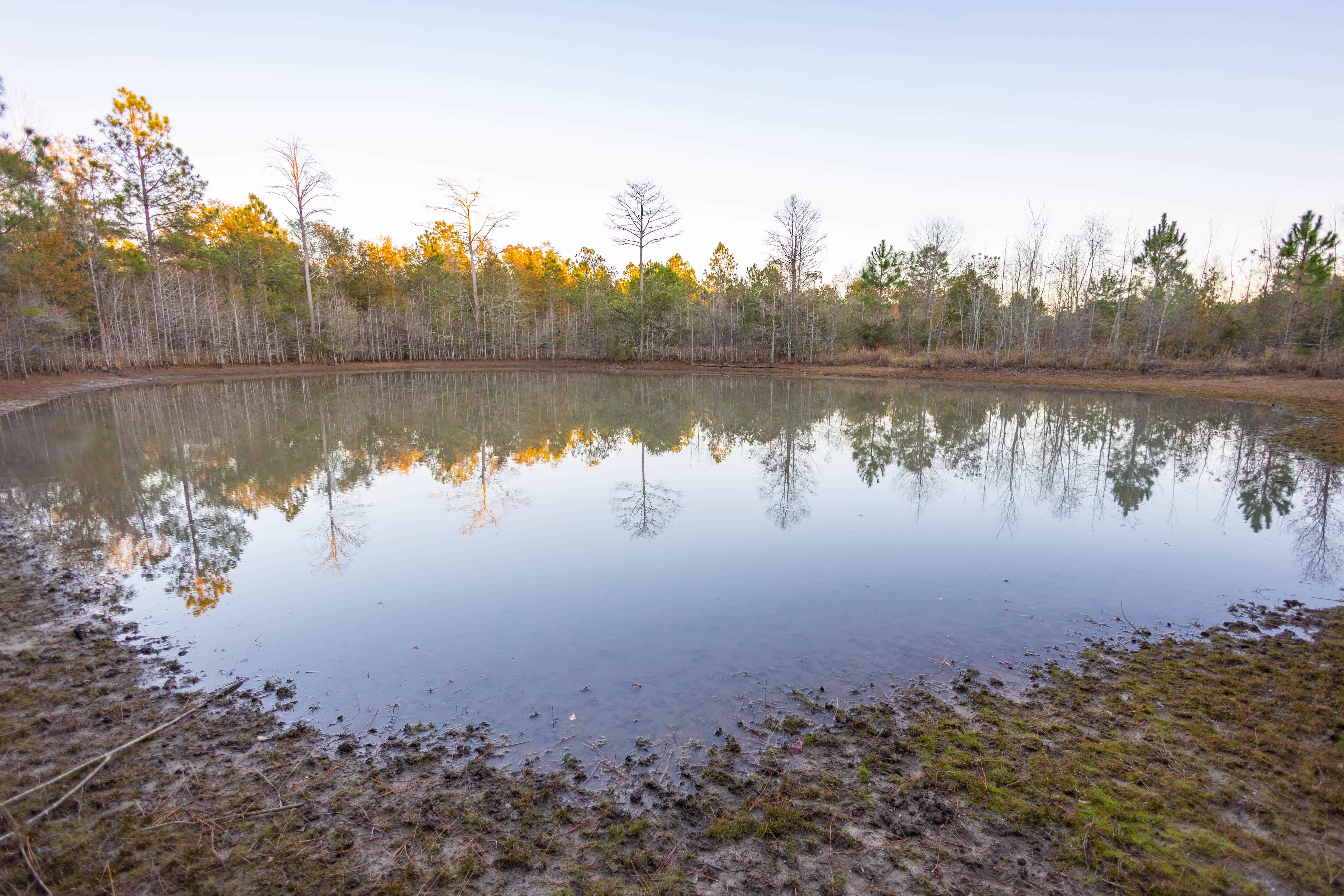 W Highway 52 Samson AL 36477