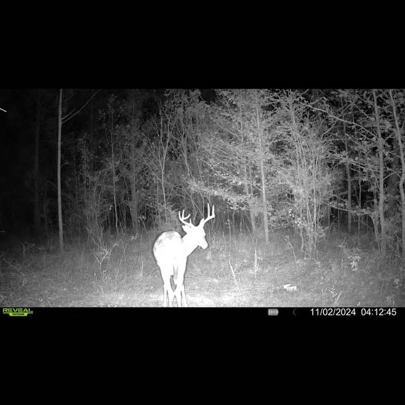 W Highway 52 Samson AL 36477