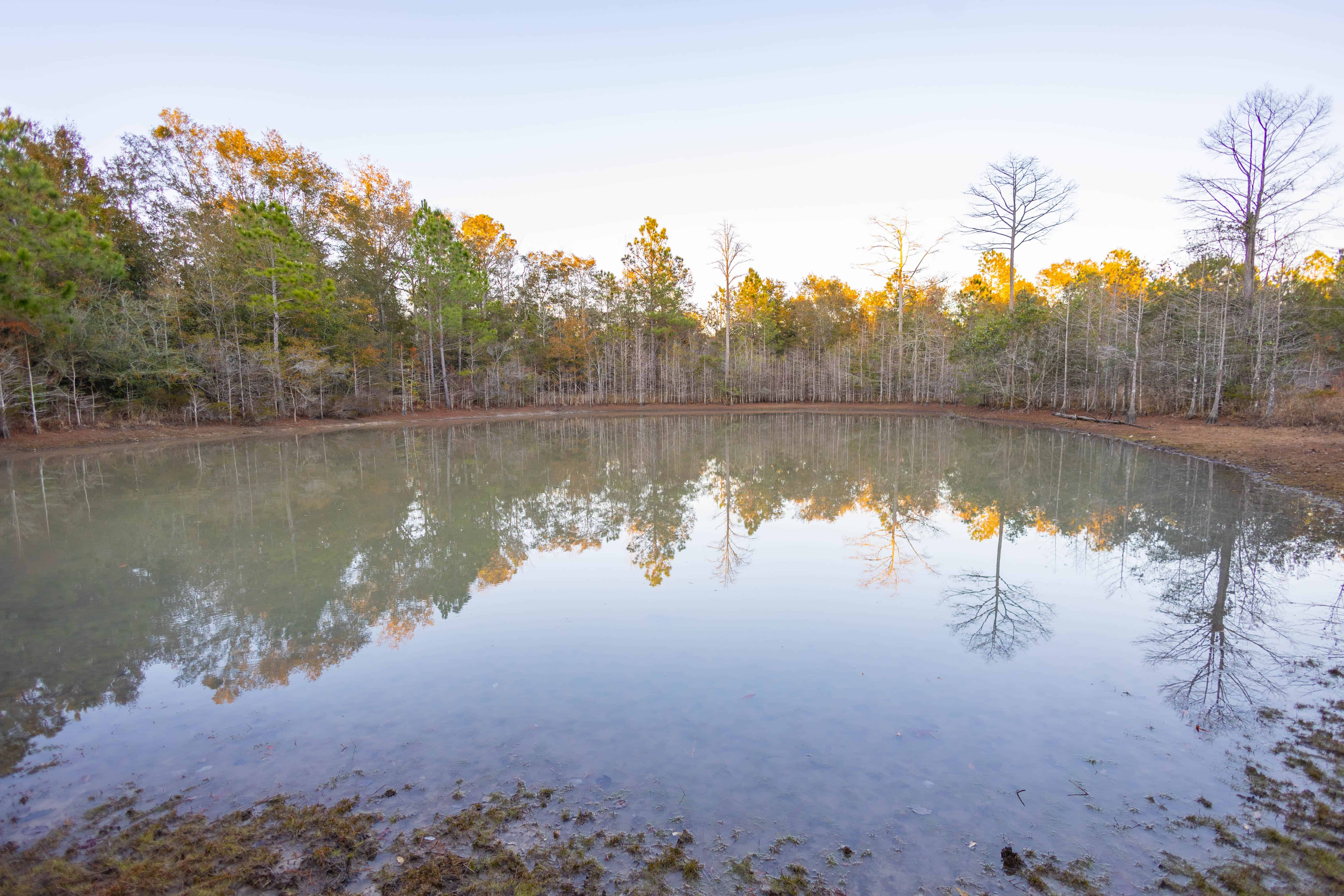 W Highway 52 Samson AL 36477