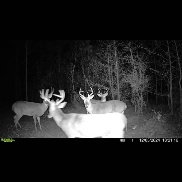W Highway 52 Samson AL 36477