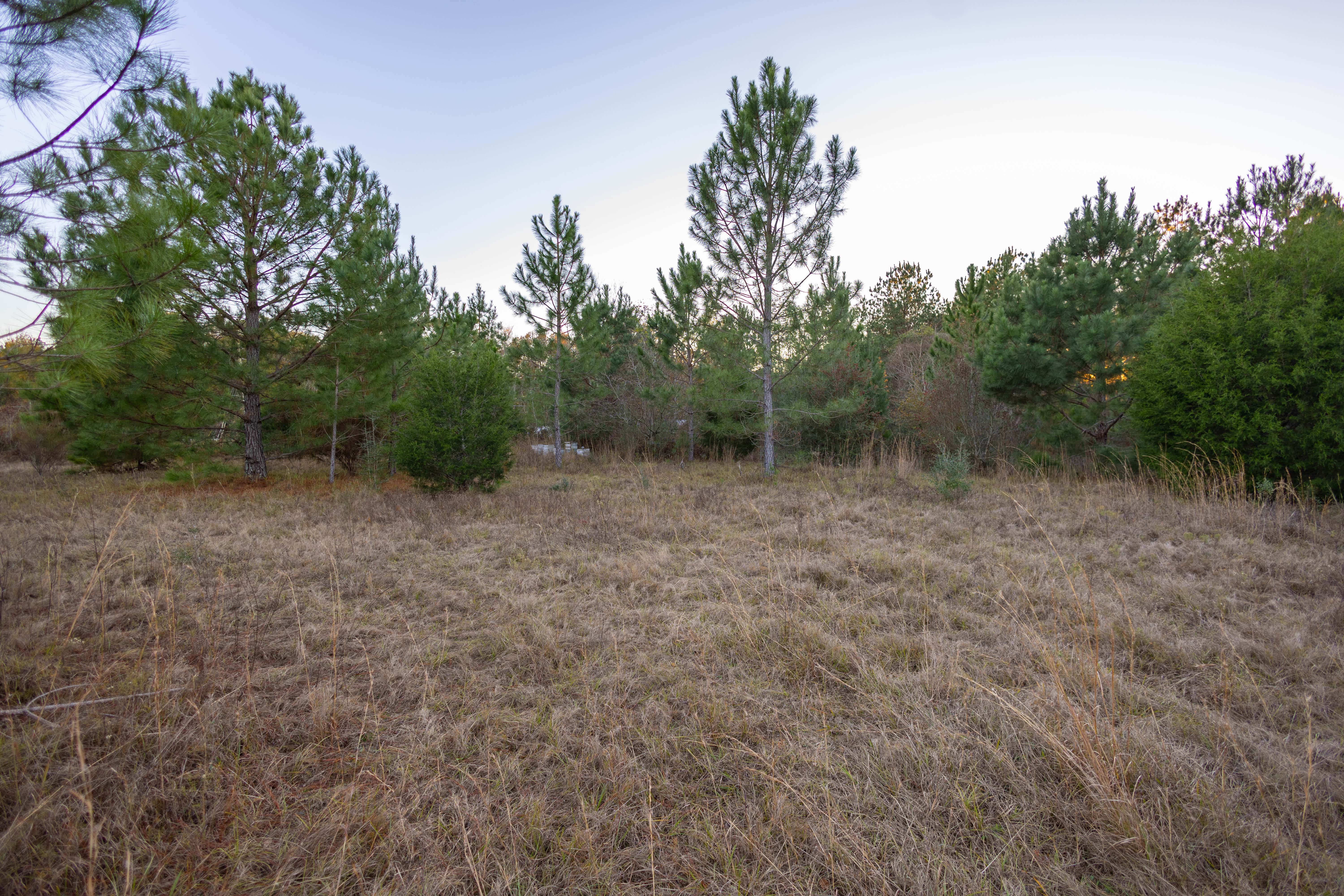 W Highway 52 Samson AL 36477