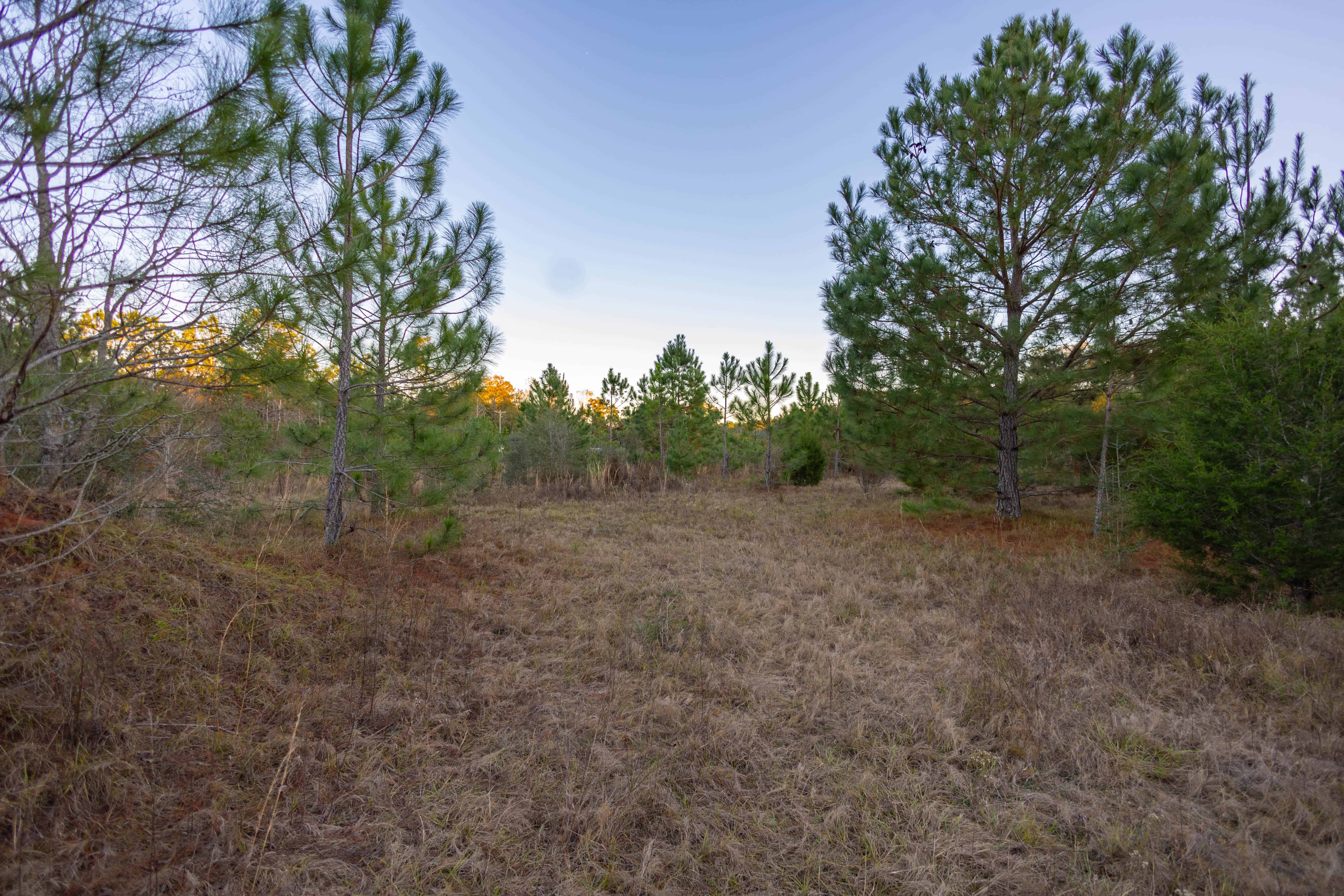 W Highway 52 Samson AL 36477