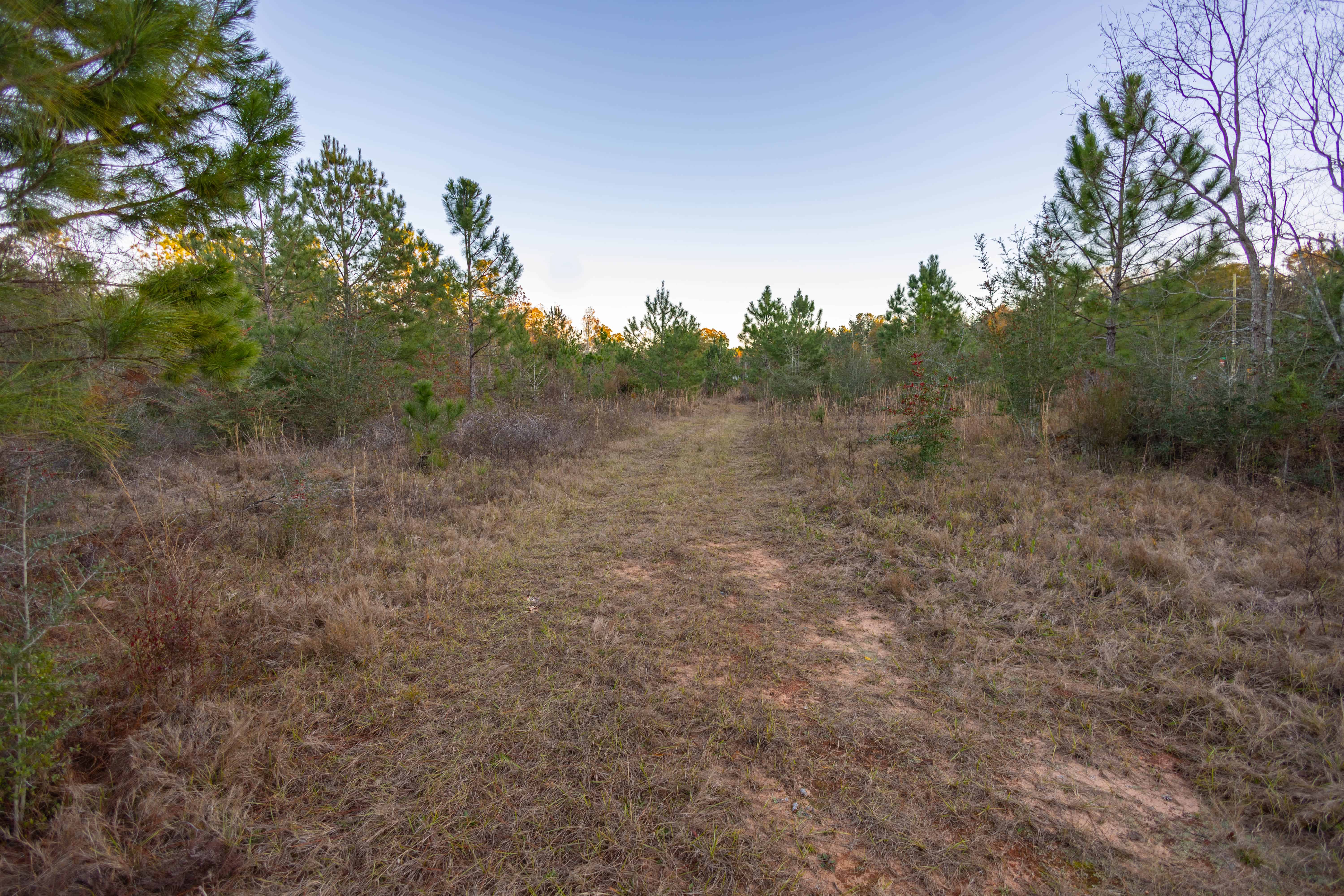 W Highway 52 Samson AL 36477