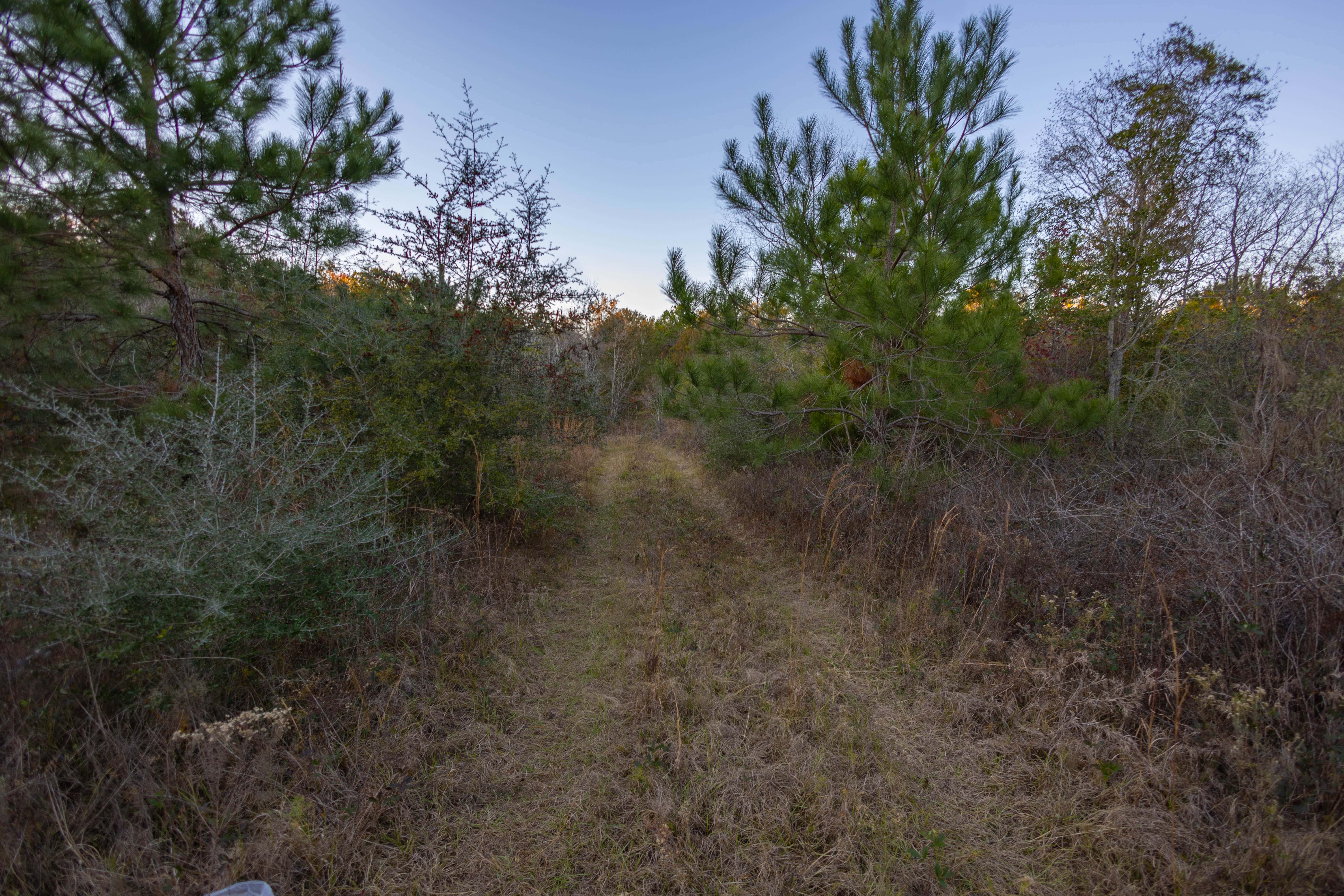 W Highway 52 Samson AL 36477