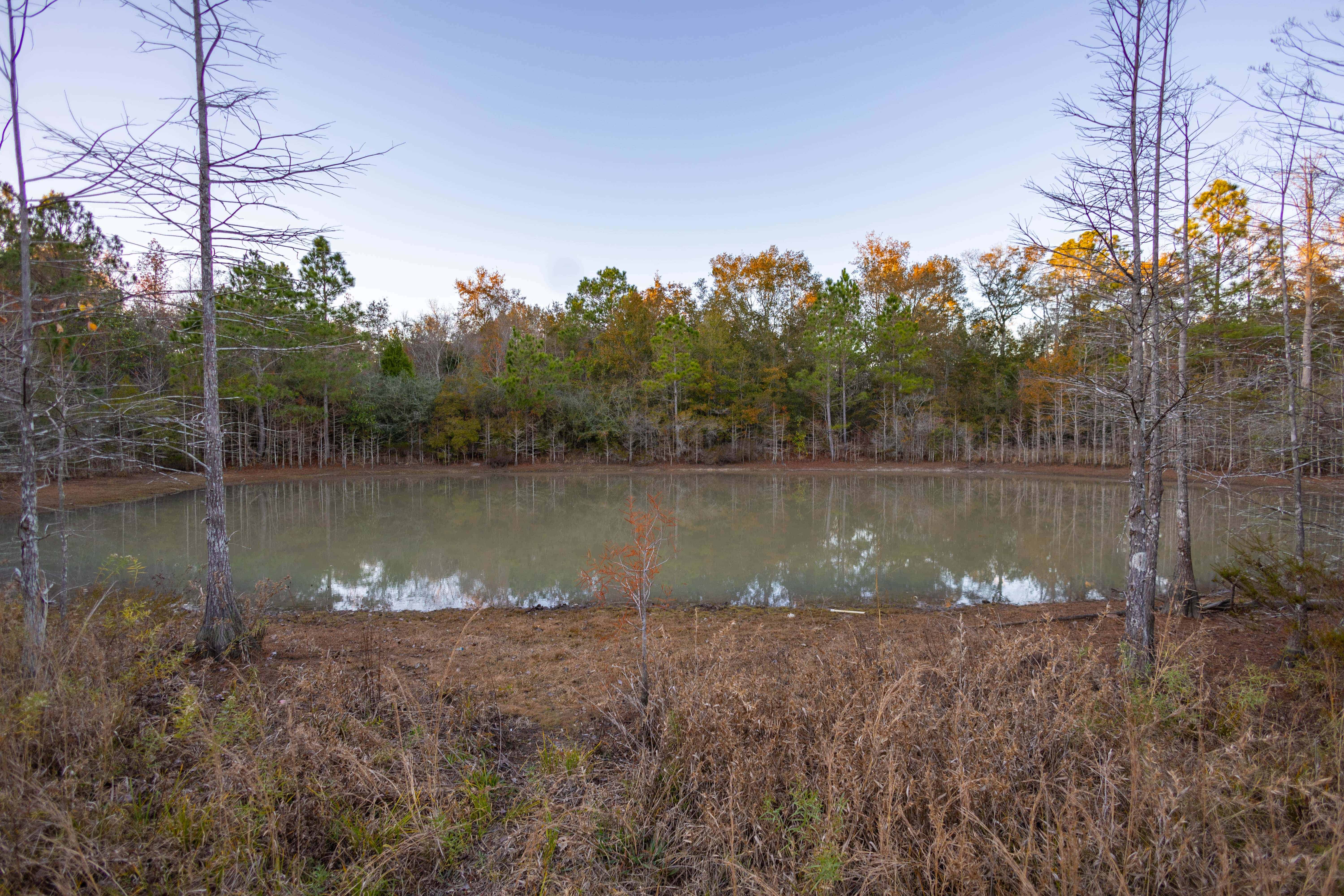 W Highway 52 Samson AL 36477