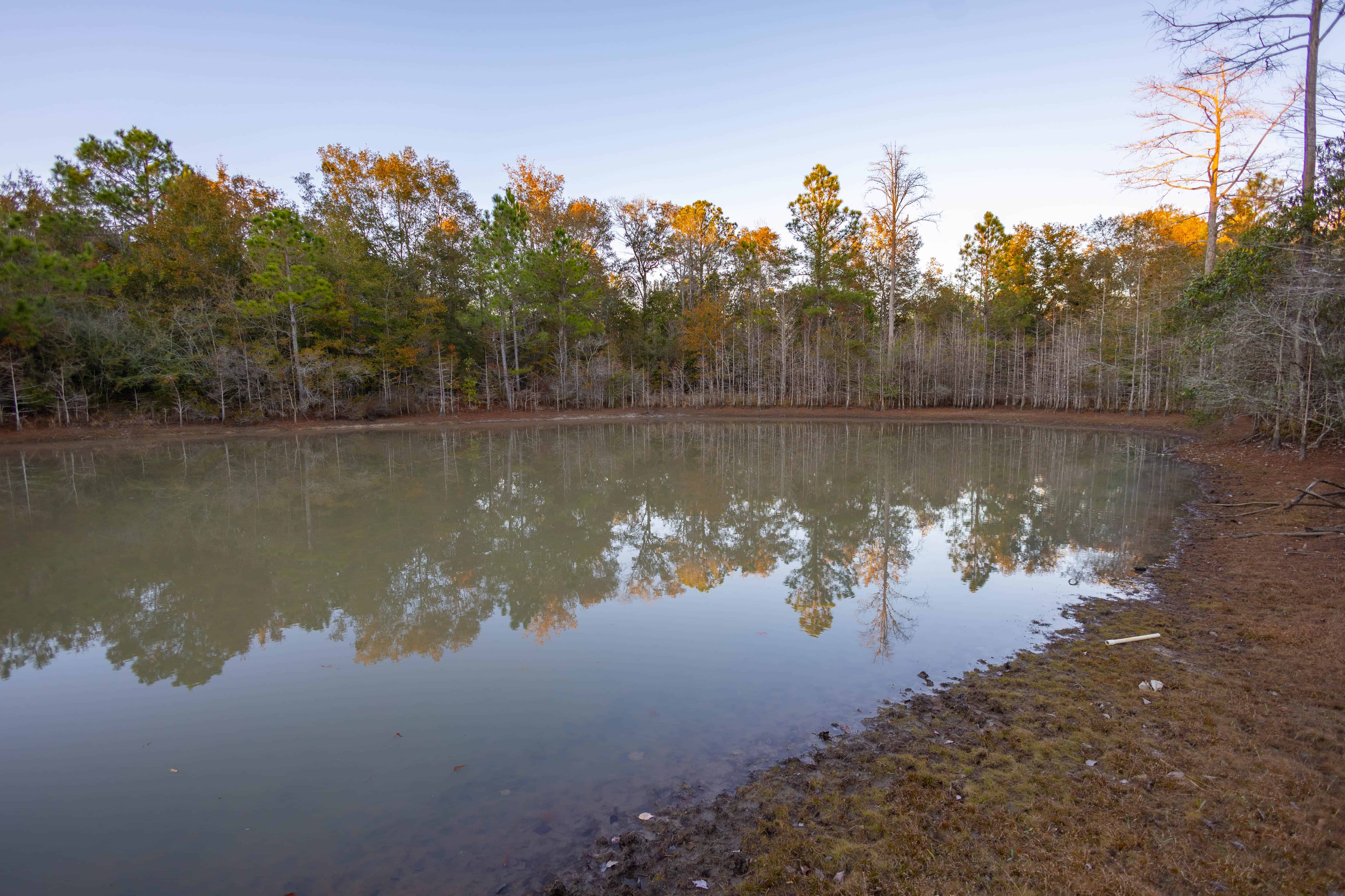 W Highway 52 Samson AL 36477