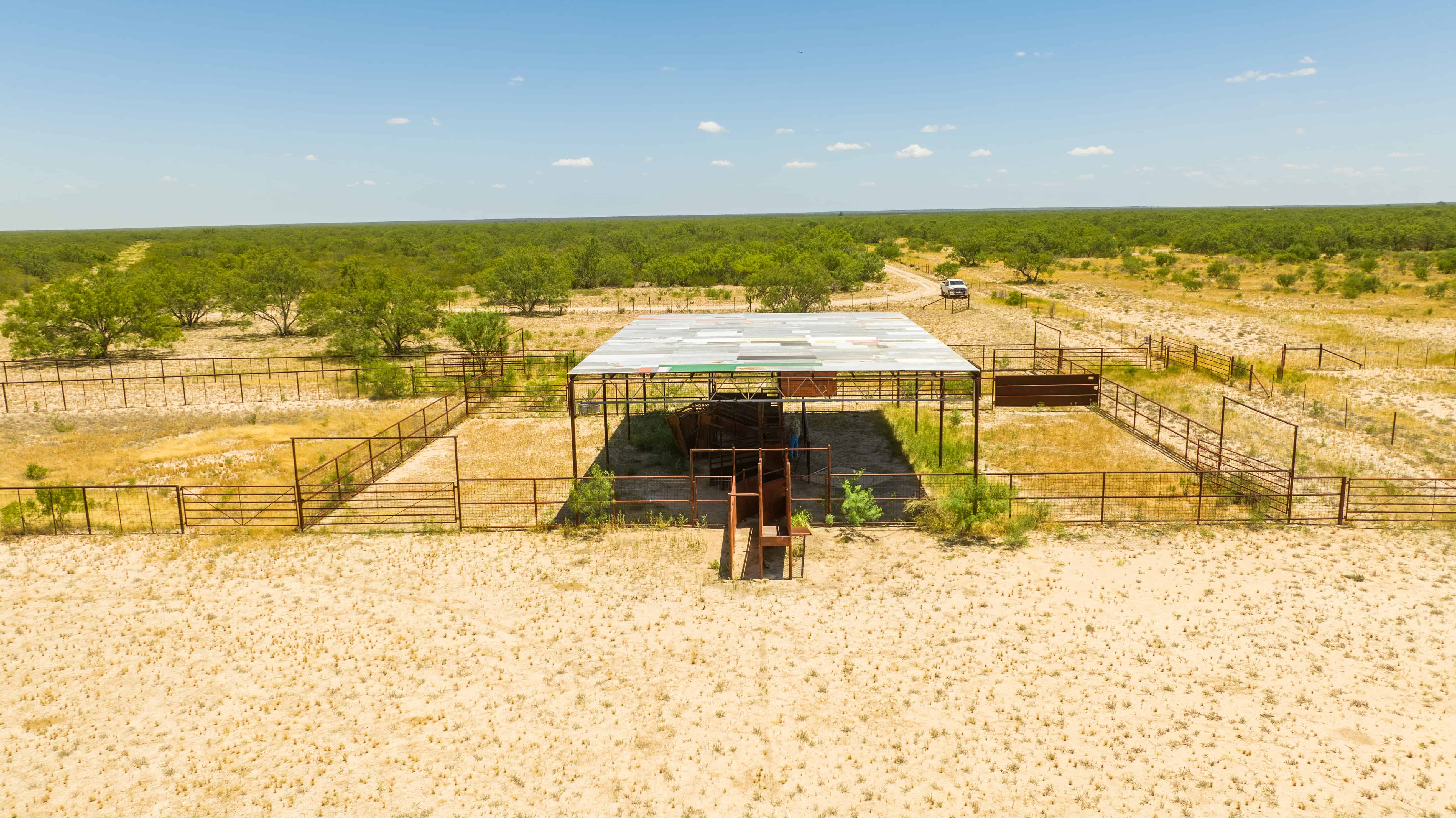 Southwest Star Ranch Premier South Texas Hunting and Cattle Ranch