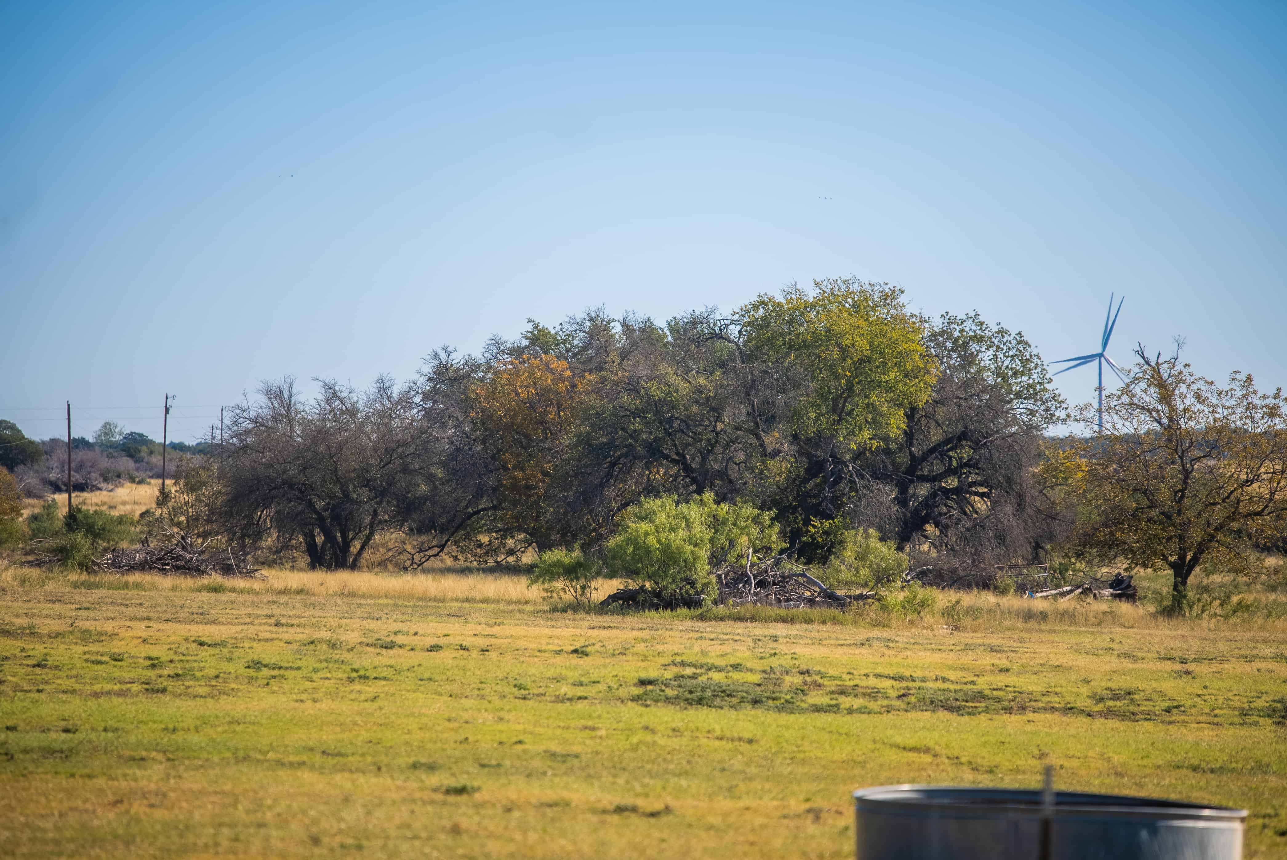 Weir Ranch Beautiful Land for Sale in Mills County, Goldthwaite, Texas