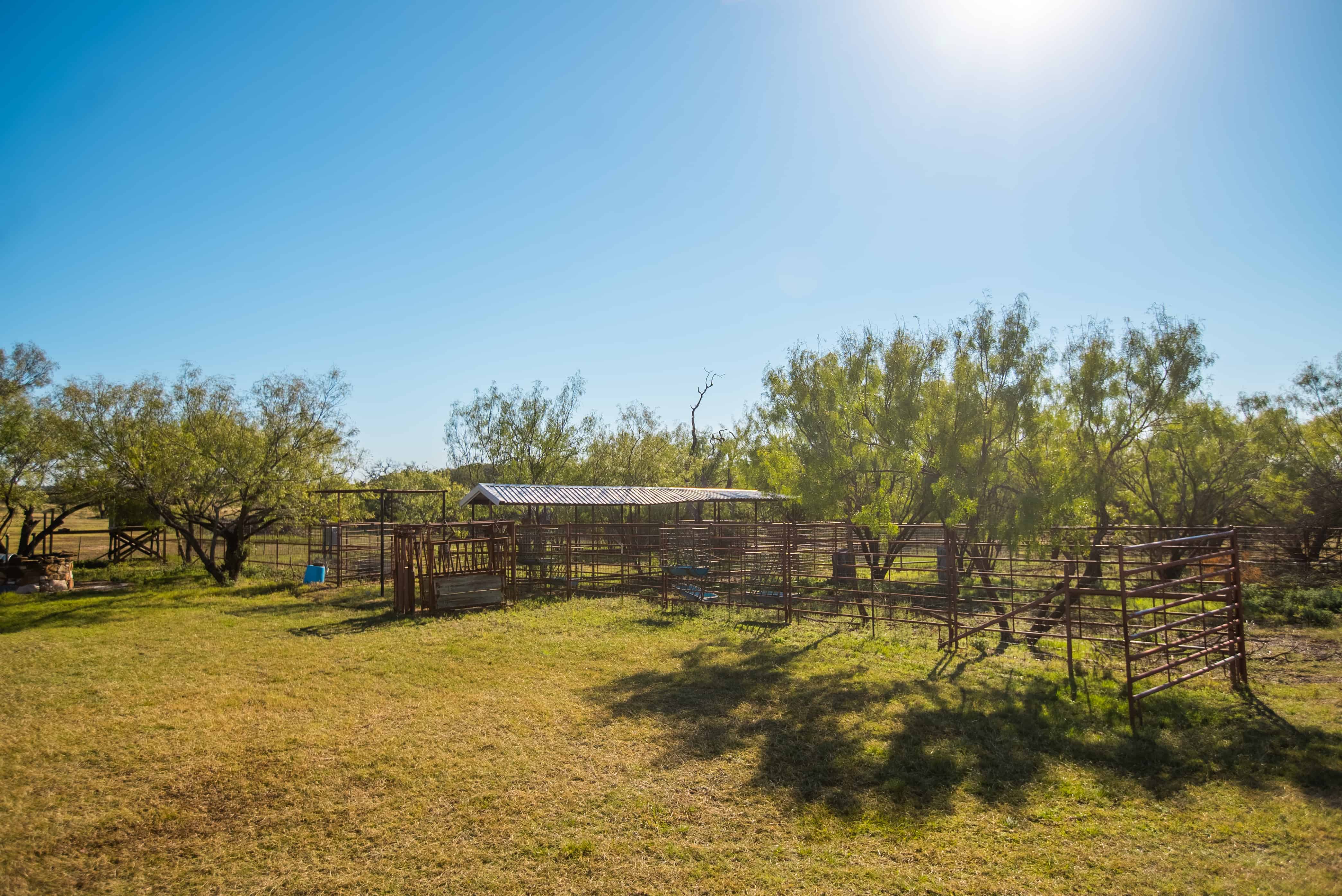 Weir Ranch Beautiful Land for Sale in Mills County, Goldthwaite, Texas