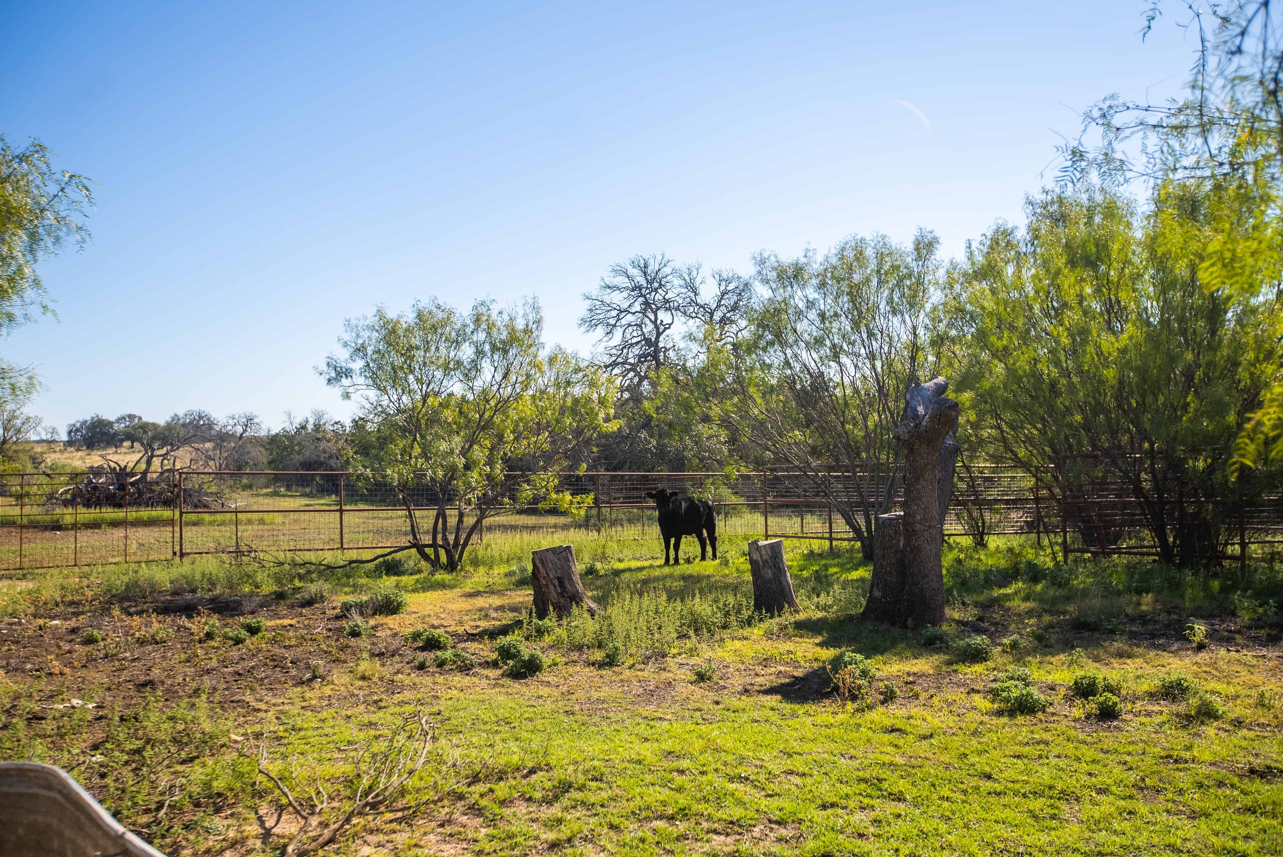 Weir Ranch Beautiful Land for Sale in Mills County, Goldthwaite, Texas