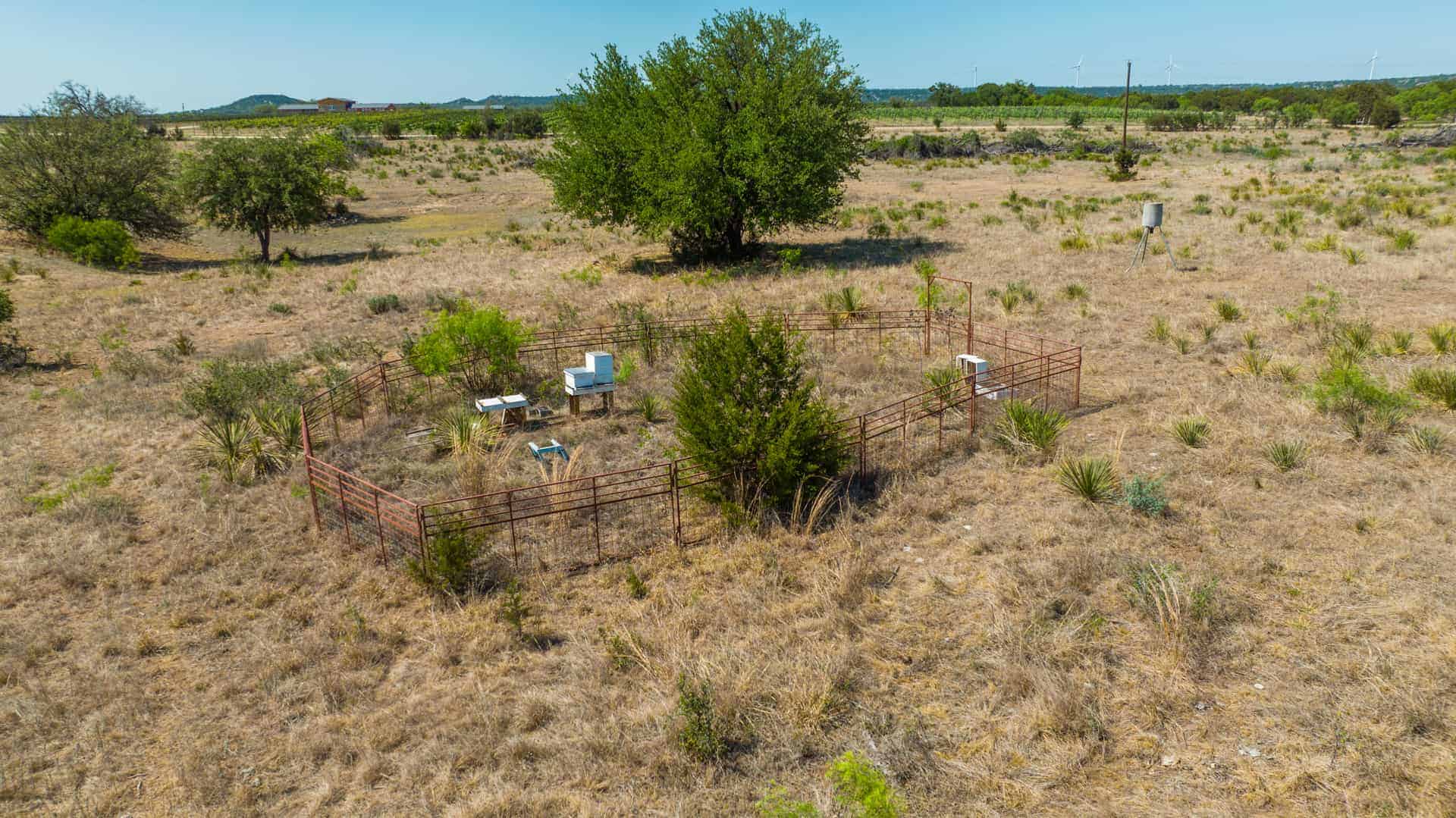 Weir Ranch Beautiful Land for Sale in Mills County, Goldthwaite, Texas