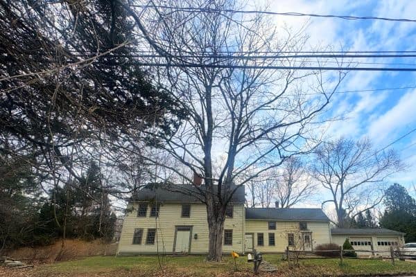 Storrs CT 06268