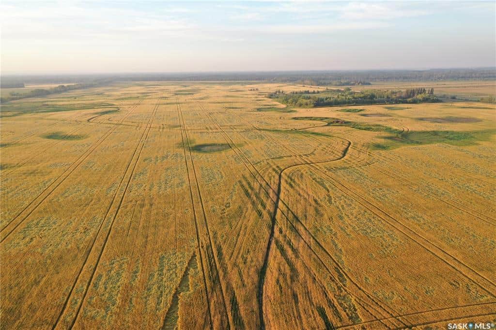 SW 10 44 3 W2 Hudson Bay SK S0A 0A9