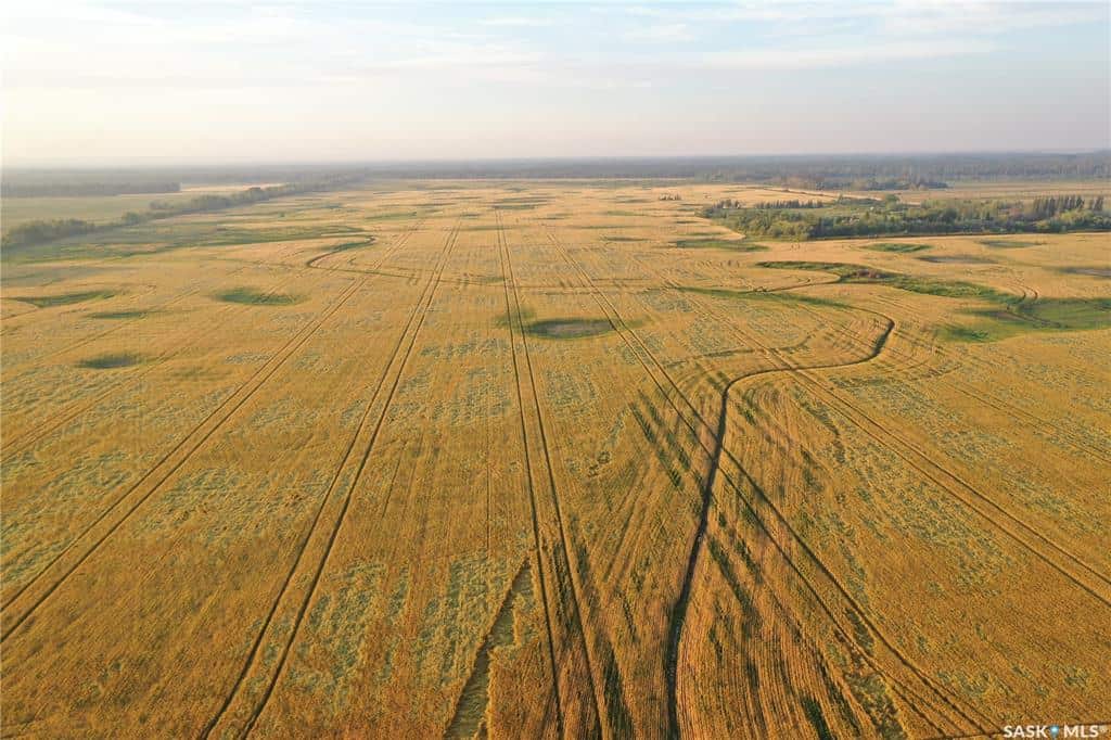 SW 10 44 3 W2 Hudson Bay SK S0A 0A9