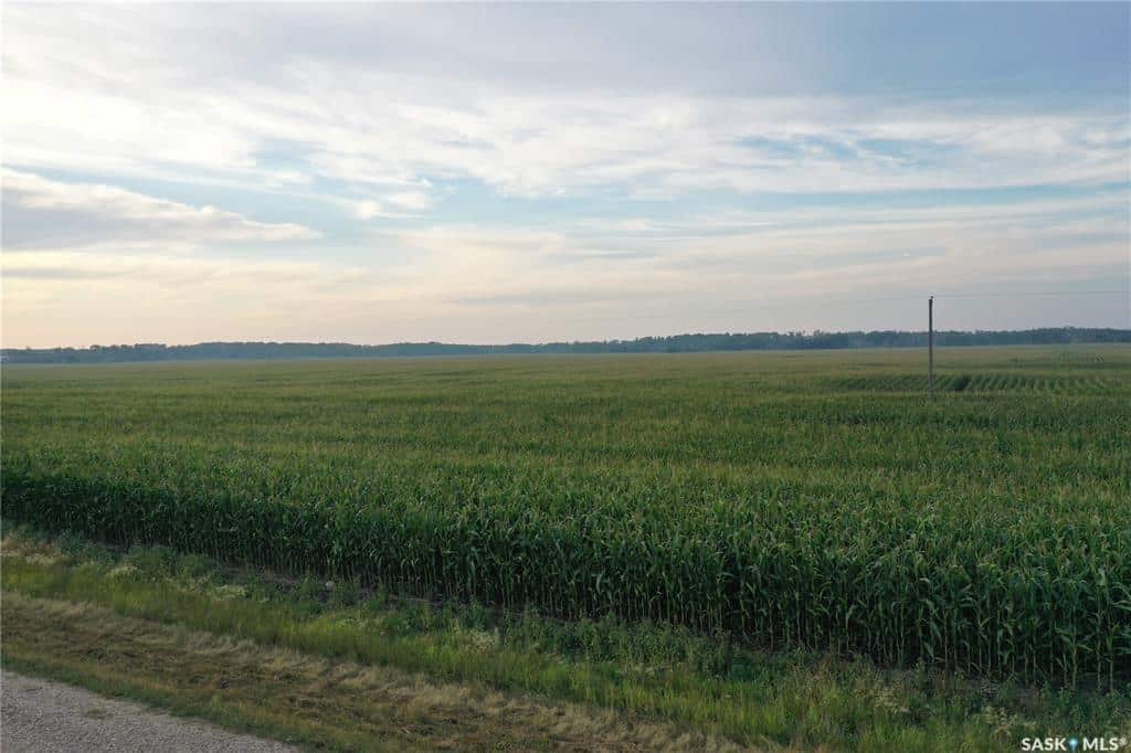 NE 5 43 2 W2 Hudson Bay SK S0A 0A9