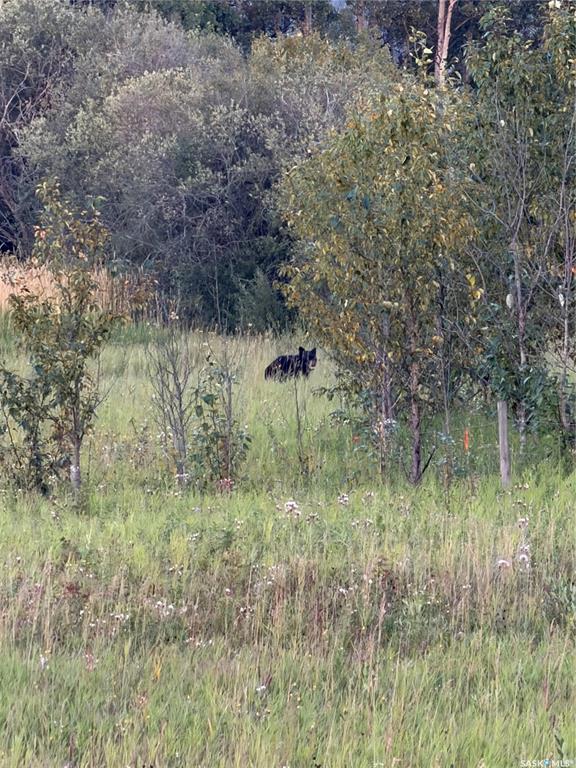 NE 5 43 2 W2 Hudson Bay SK S0A 0A9