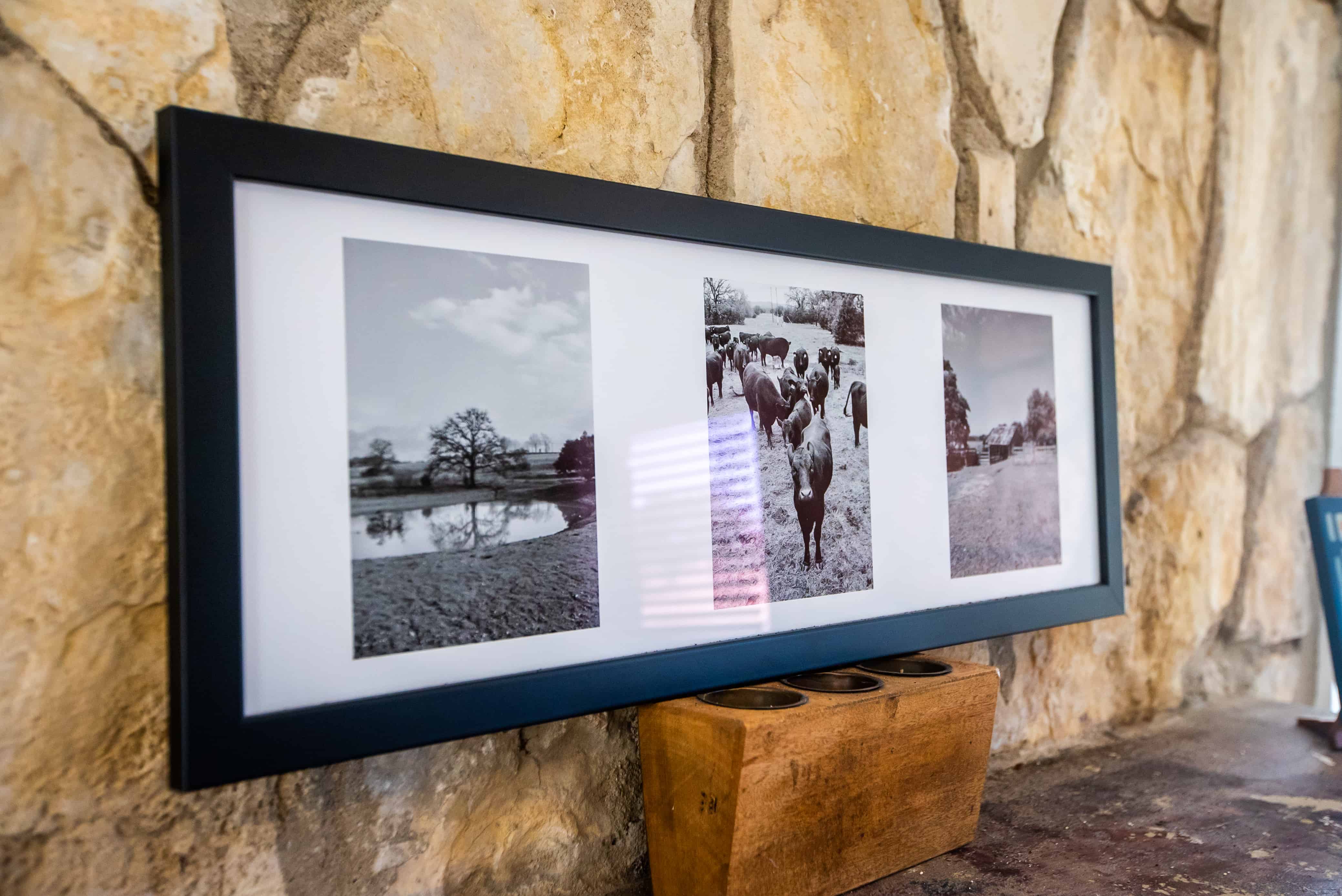 Medina Riverfront Ranch