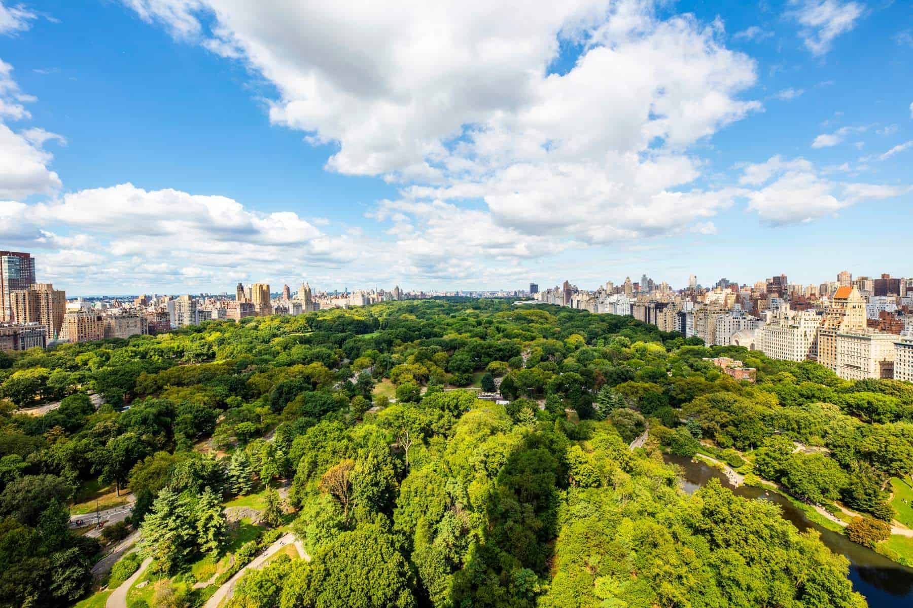 50 Central Park S #30/31 New York City NY 10019