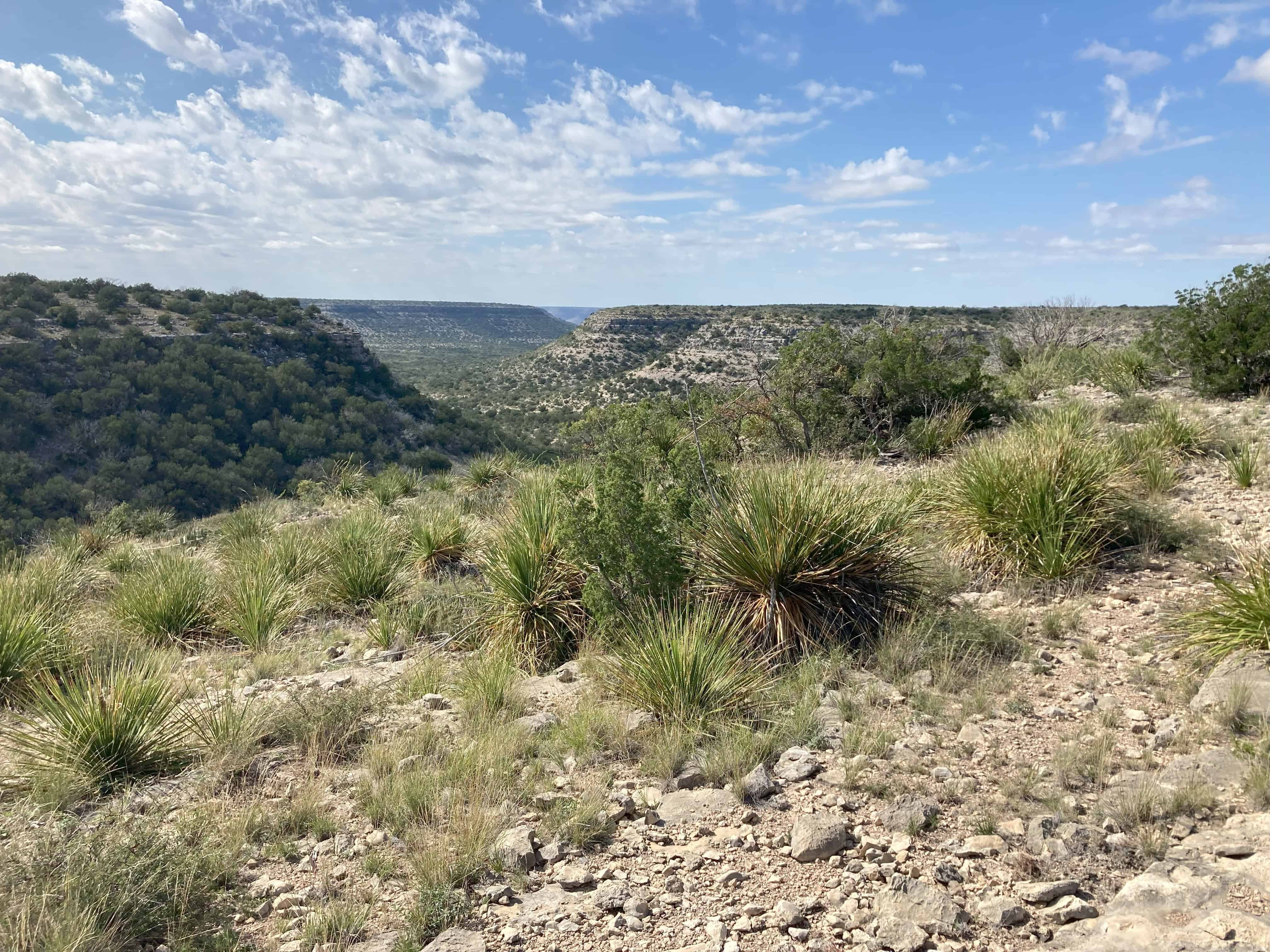 985 County Road 414 Sheffield TX 79781