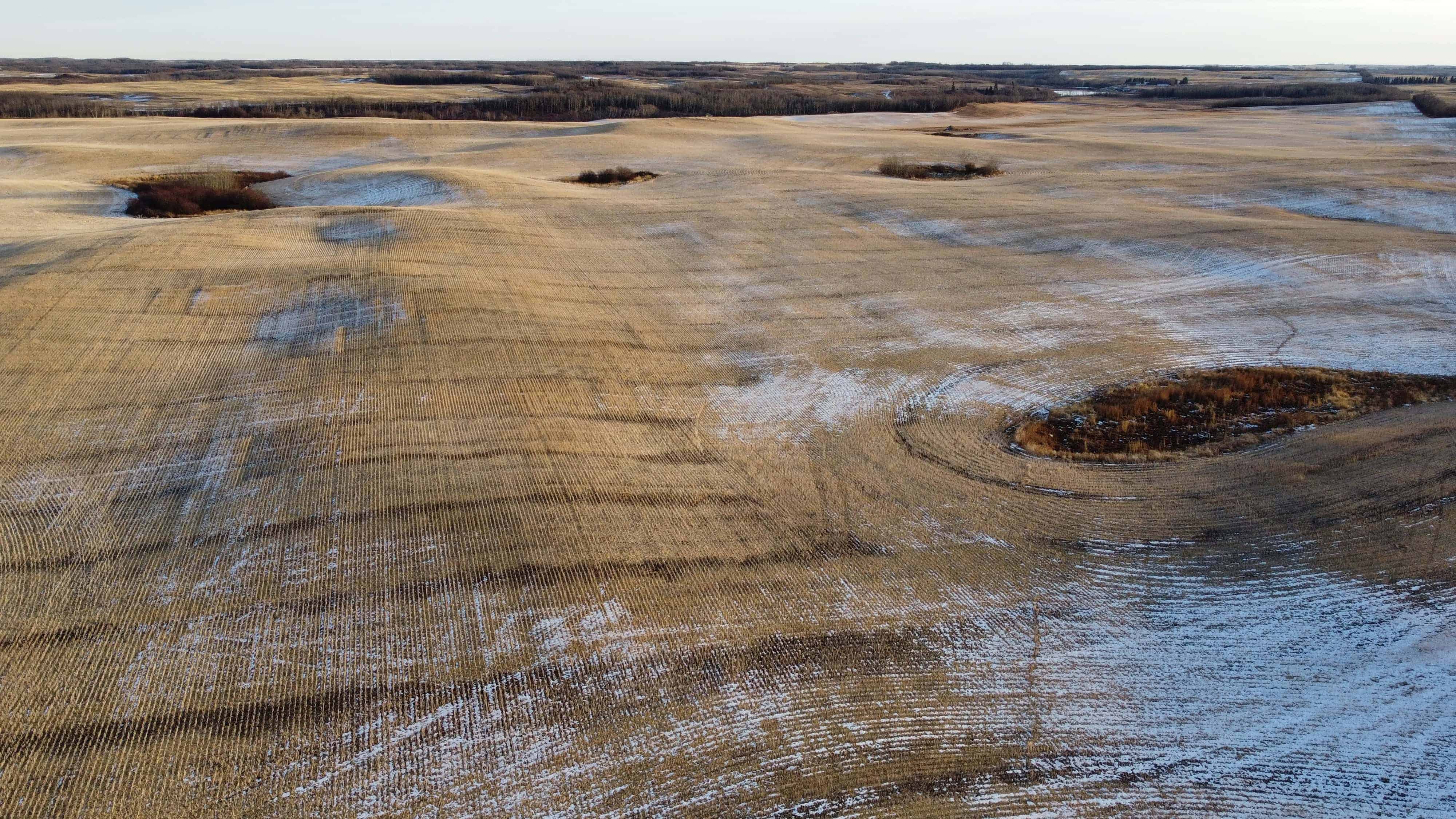 NE 23-53-13-w4 & SE 23-53-13-w4 Lavoy AB T9C 1R9