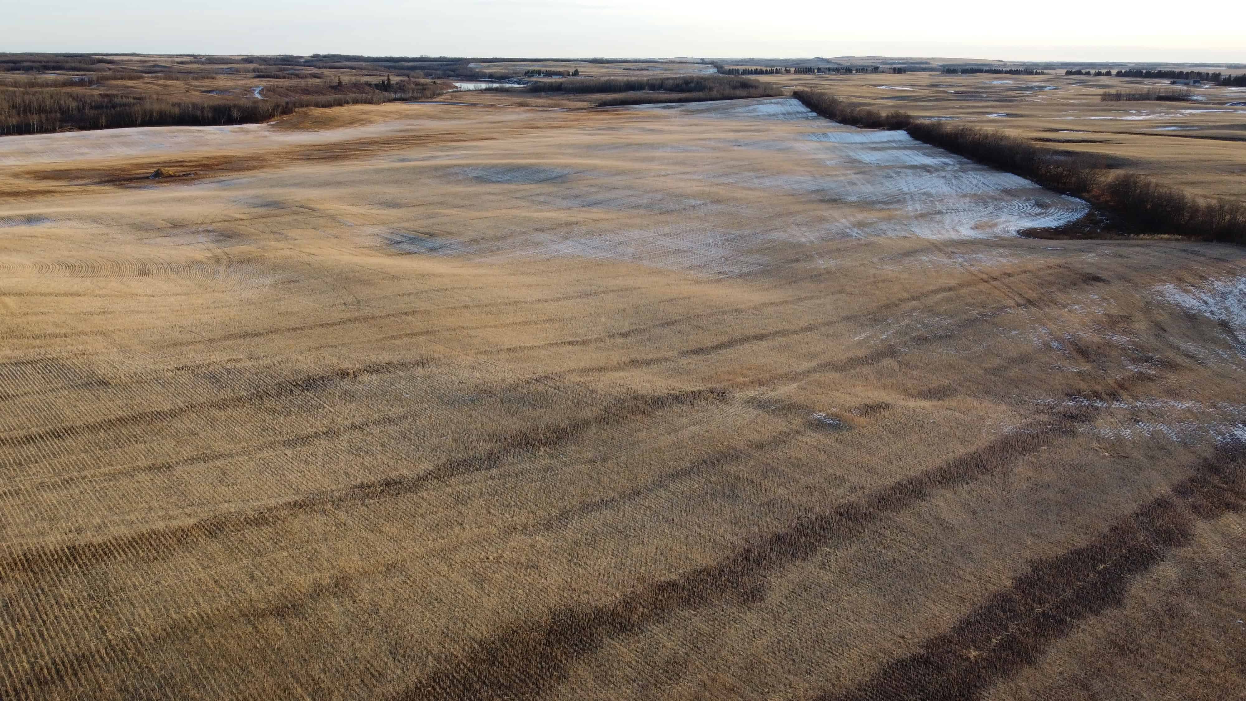 NE 23-53-13-w4 & SE 23-53-13-w4 Lavoy AB T9C 1R9