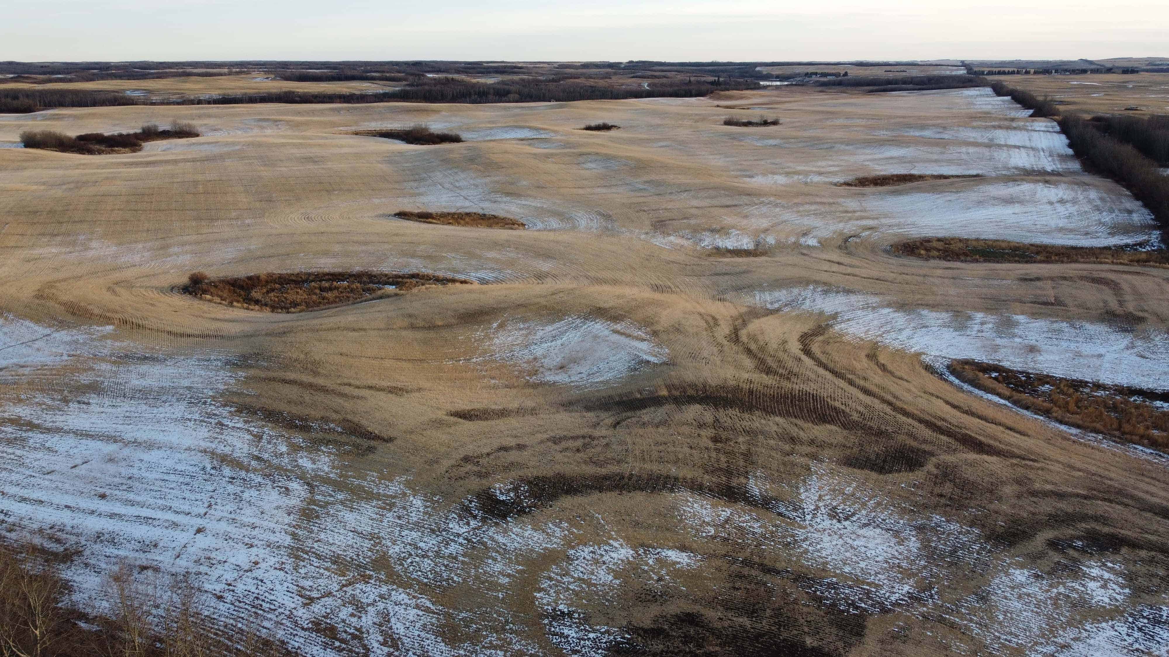 NE 23-53-13-w4 & SE 23-53-13-w4 Lavoy AB T9C 1R9