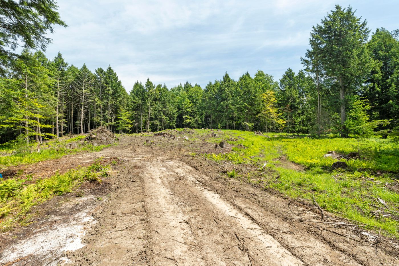 00 Baird Road Stowe VT 05672