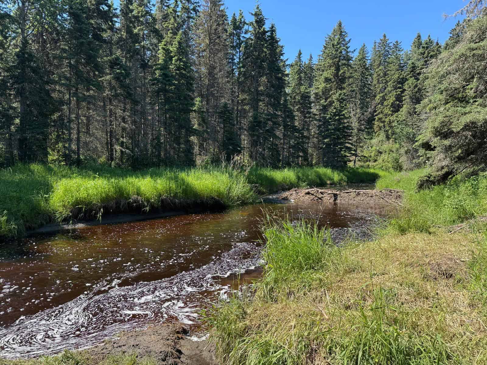 393033 Range Road 5-0 Clearwater County AB