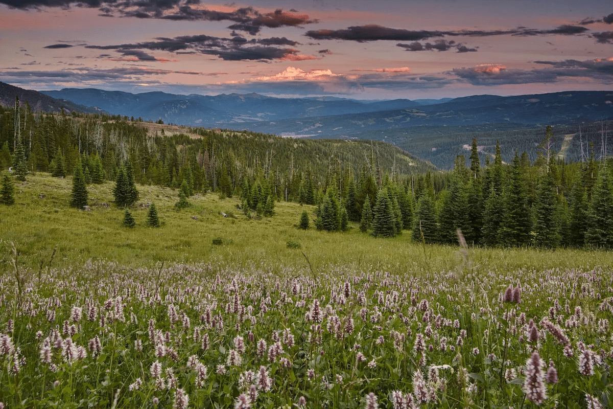 1320 Old Toby Road Big Sky MT 59716