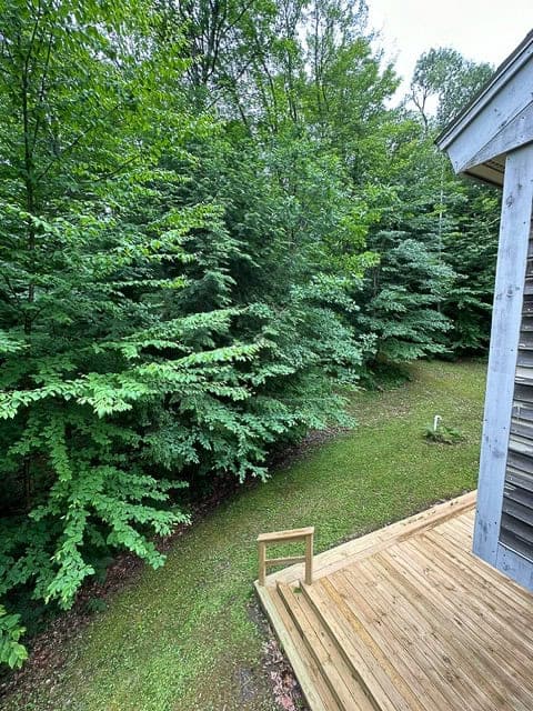 Cavendish vt