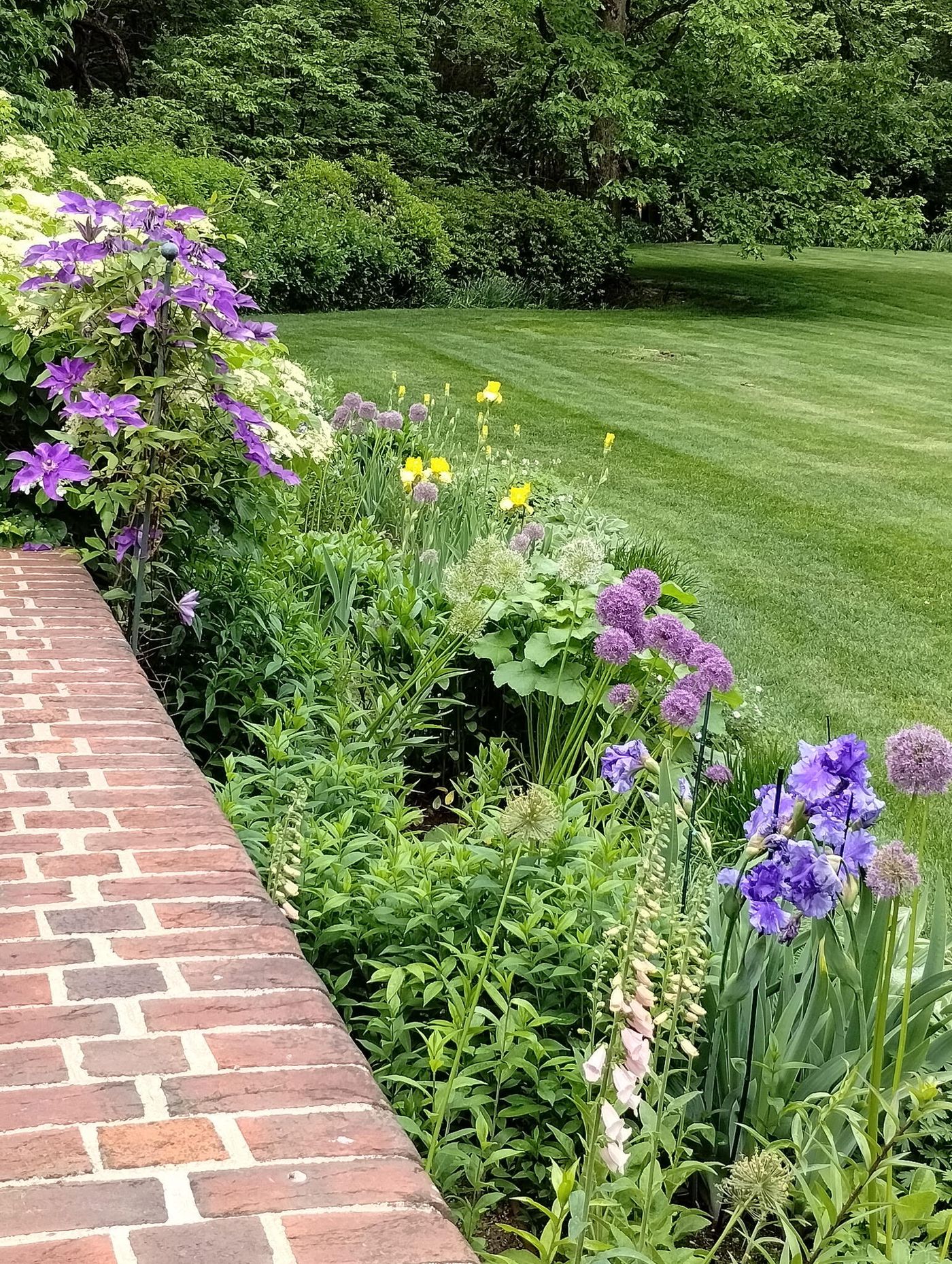 429 Summer Street Westwood MA 02090