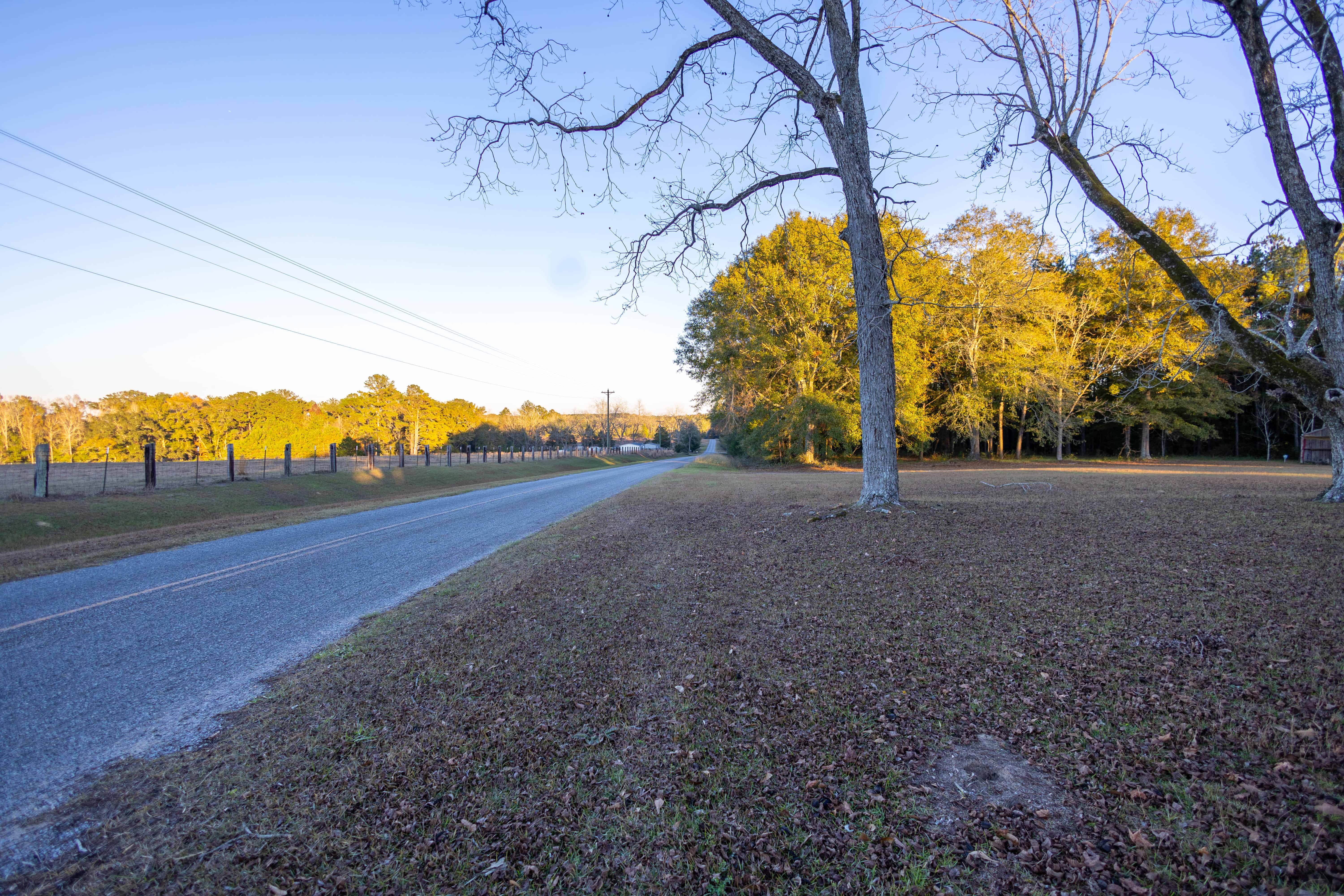 1565 County Road 38 Ozark AL 36360