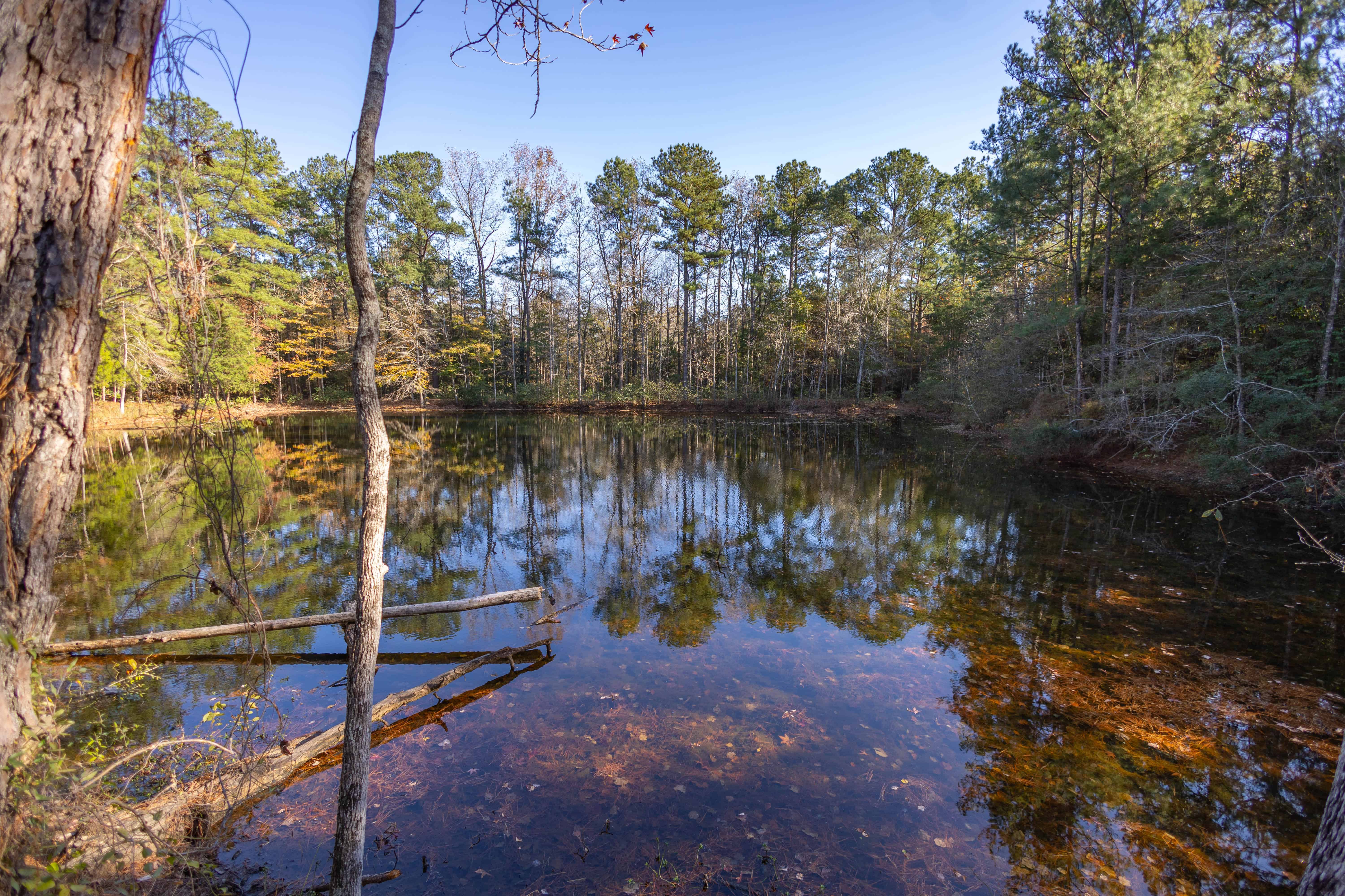 1565 County Road 38 Ozark AL 36360