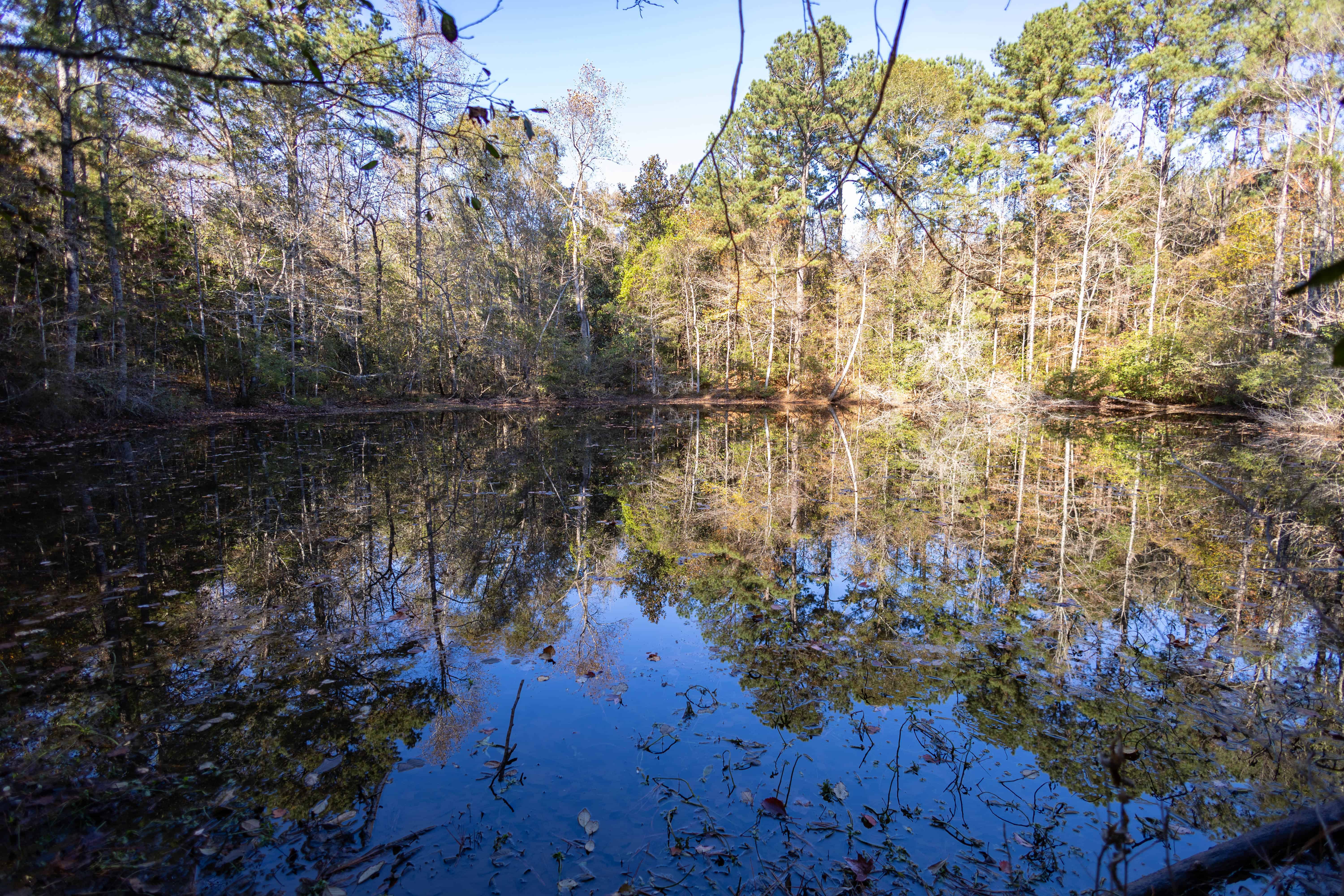 1565 County Road 38 Ozark AL 36360