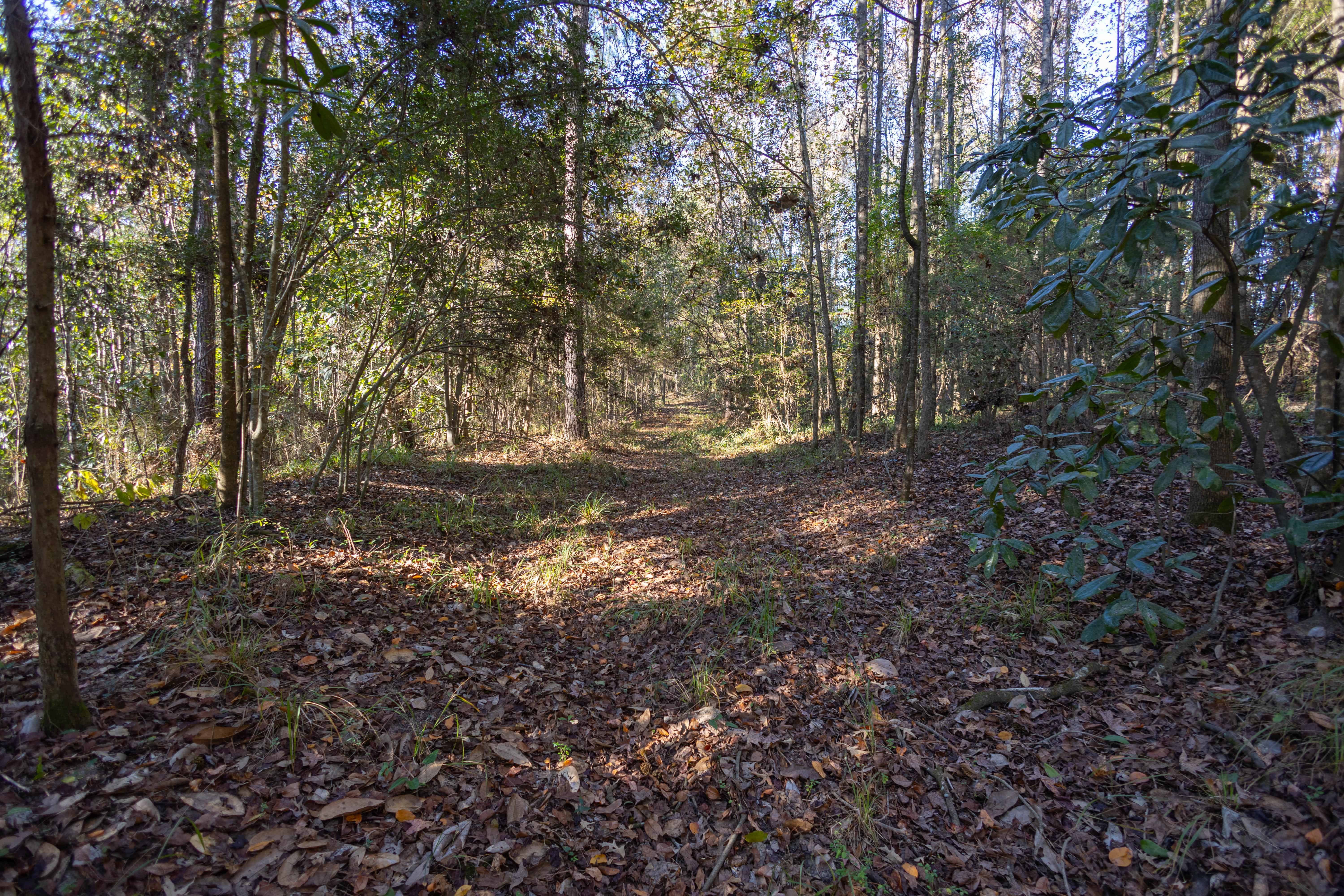 1565 County Road 38 Ozark AL 36360