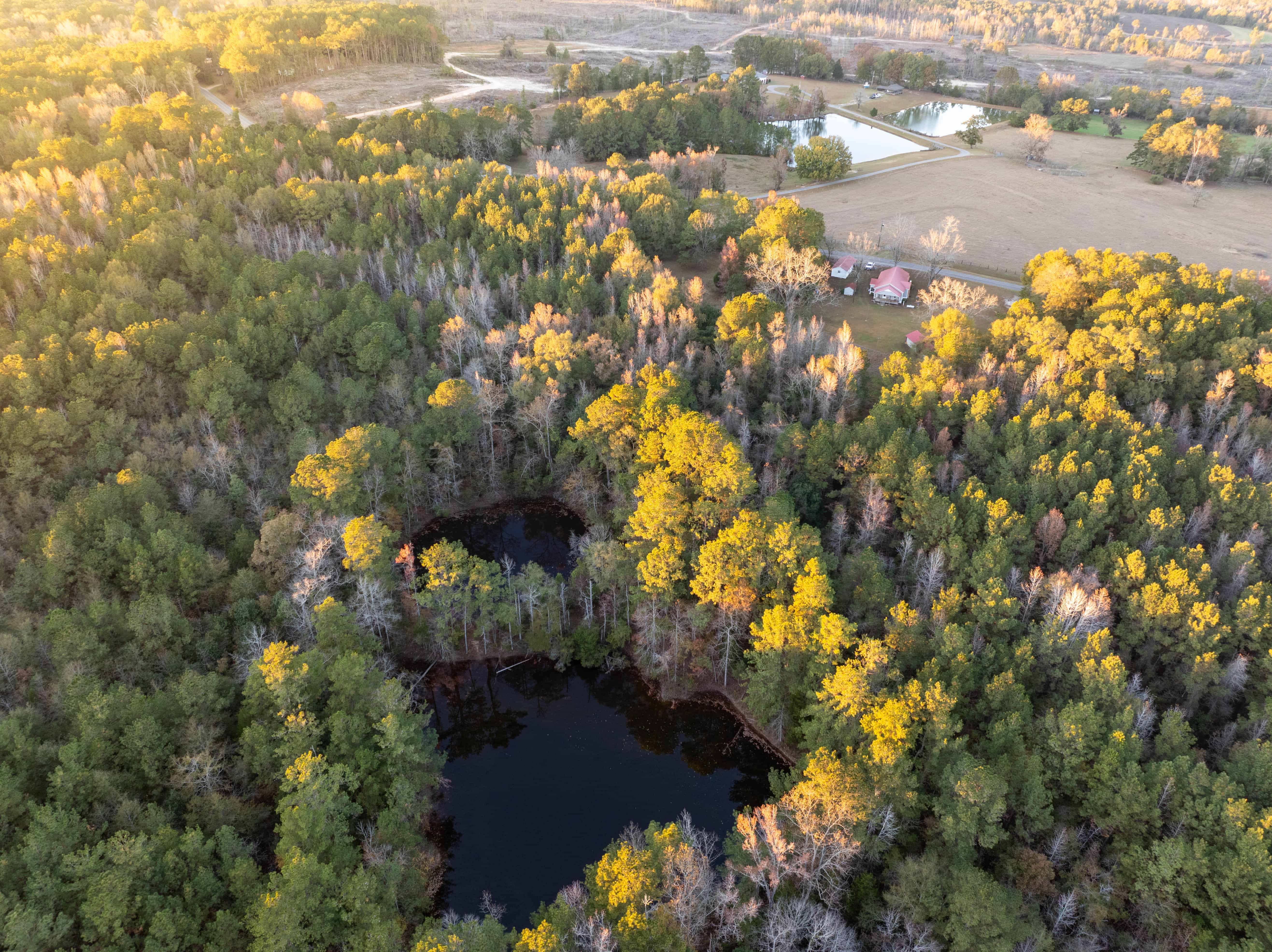 1565 County Road 38 Ozark AL 36360