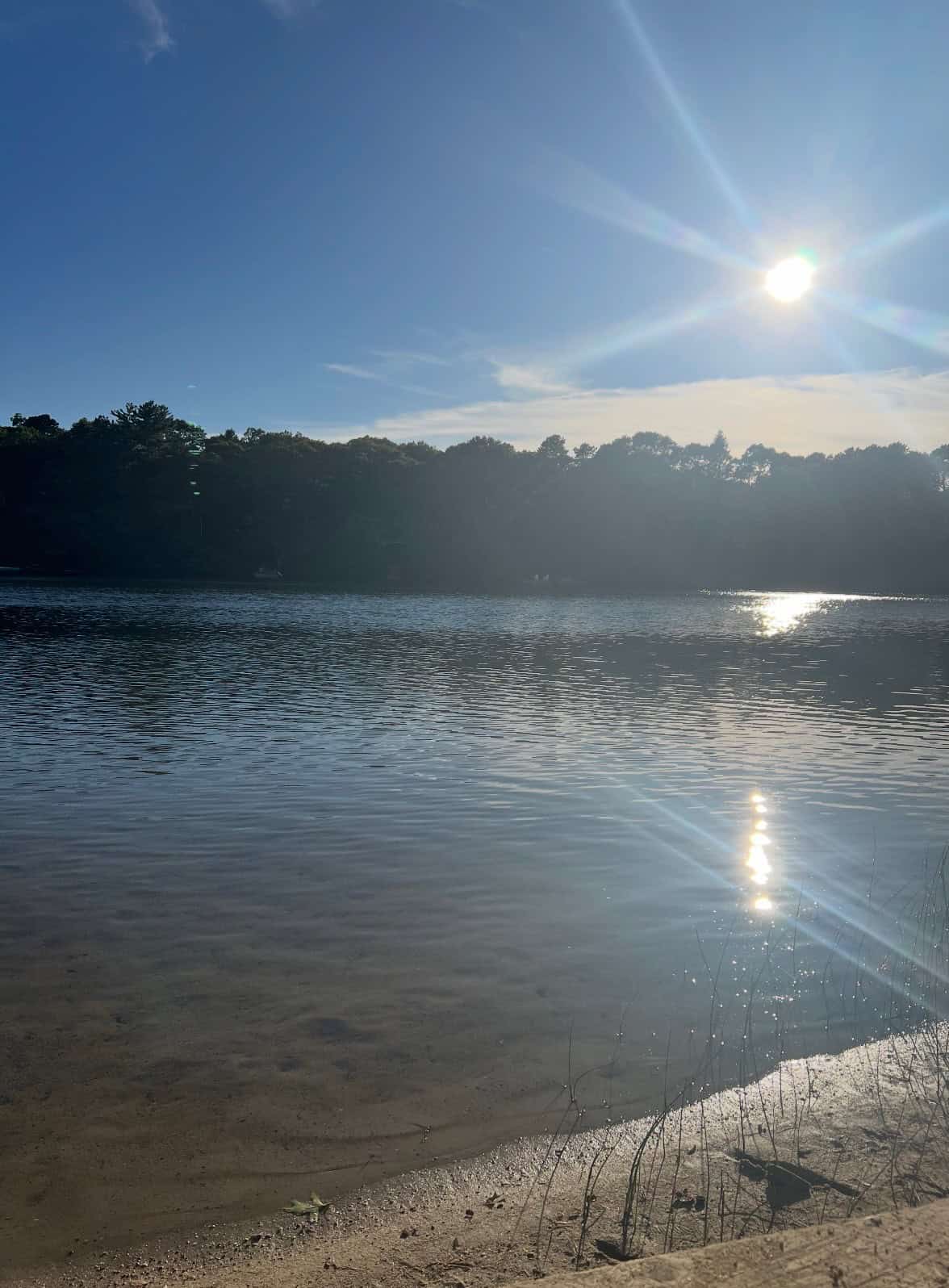 Mashpee MA 02649
