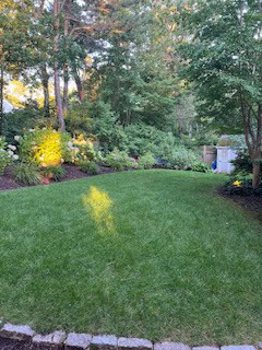 Mashpee MA 02649