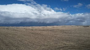 South West AB