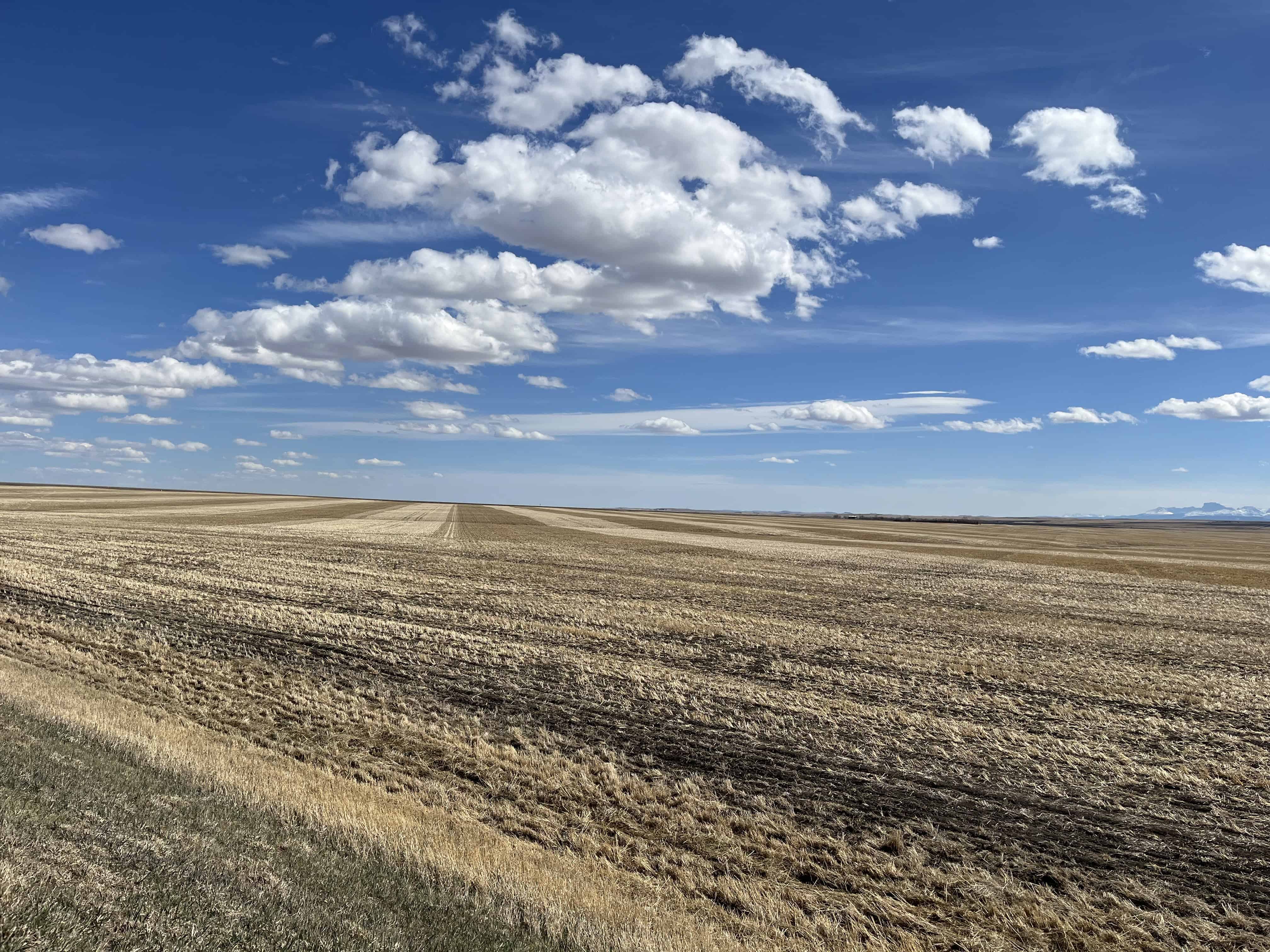 South West AB
