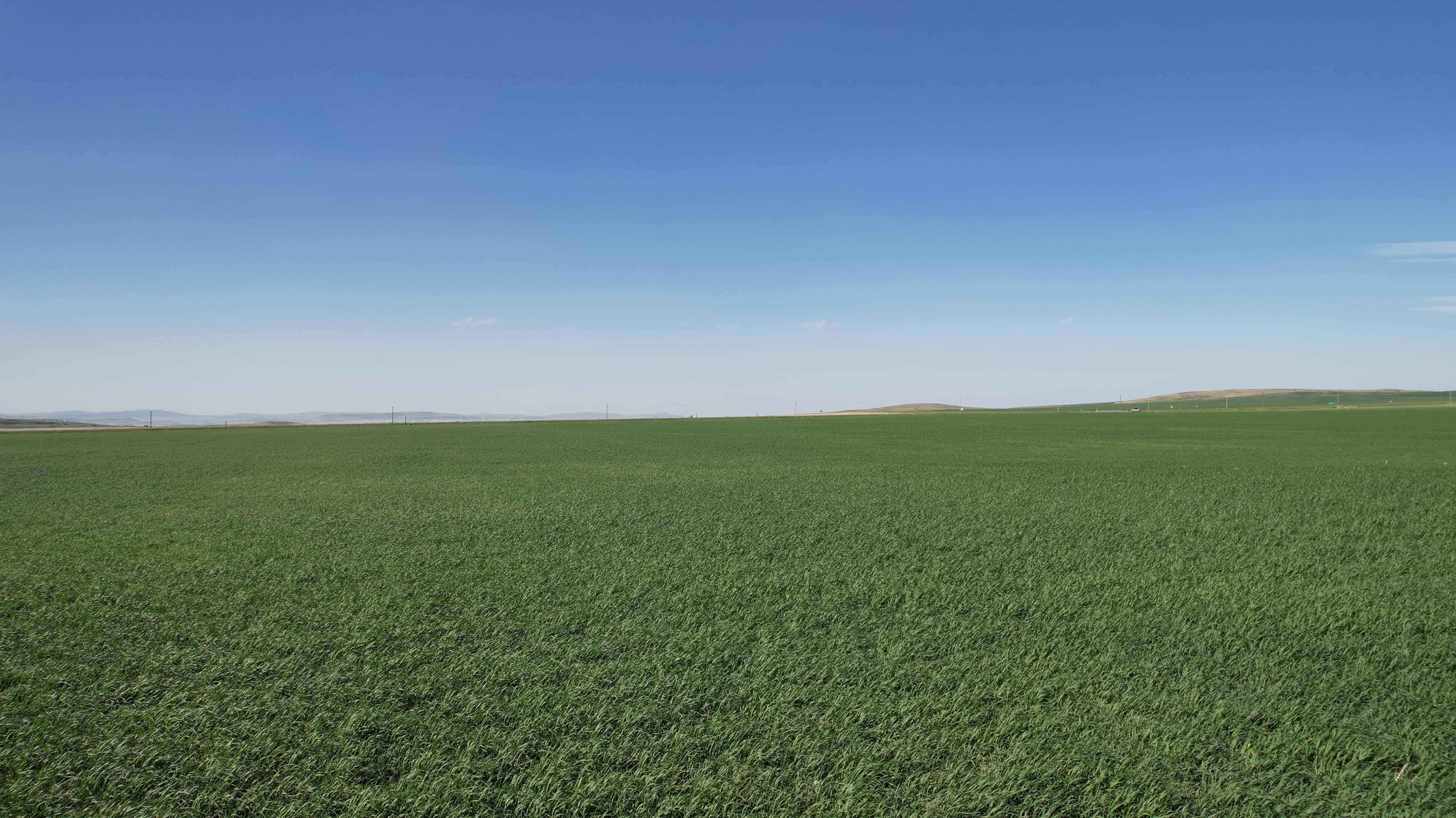 South West AB