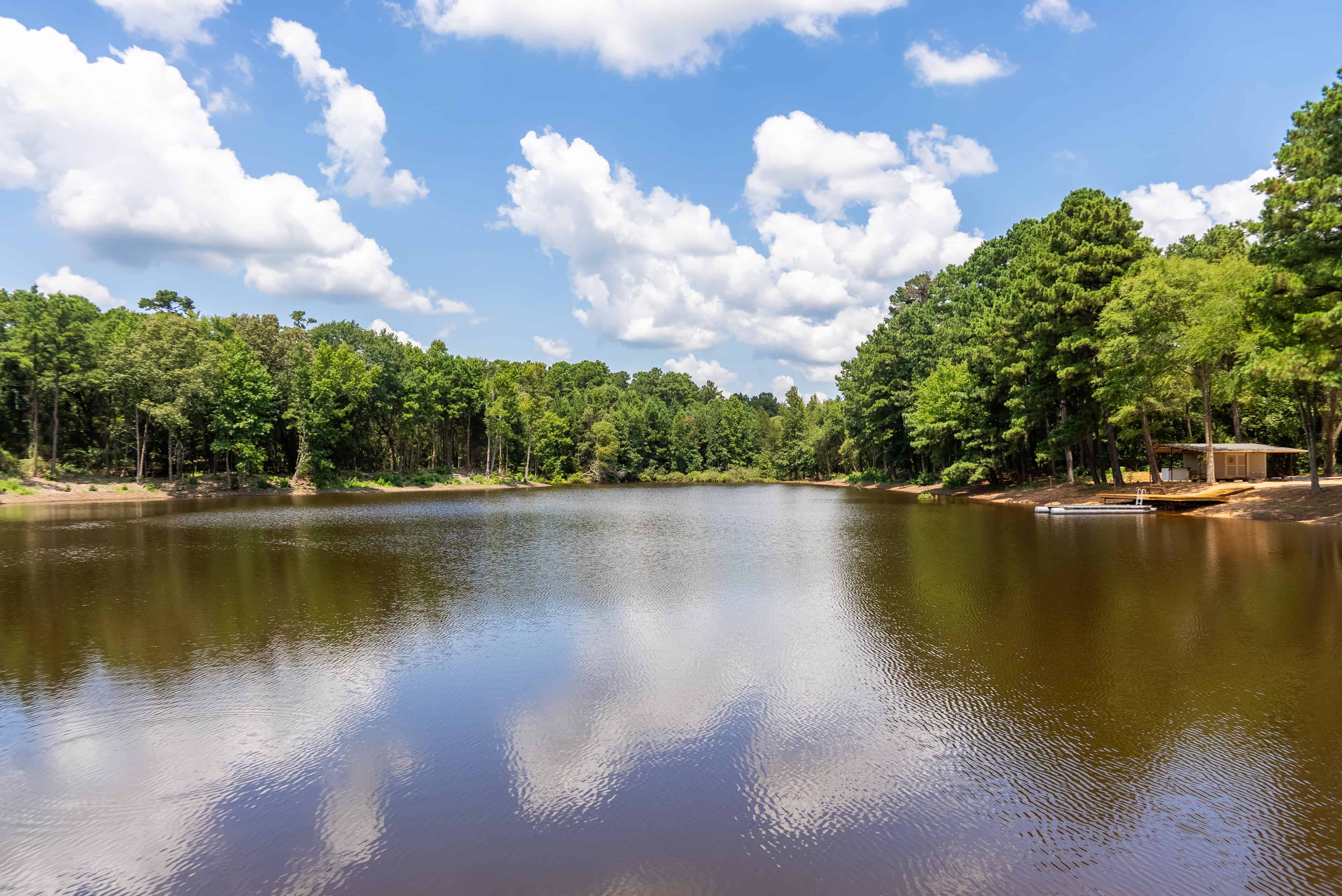 250 Private Road 8817 Athens TX