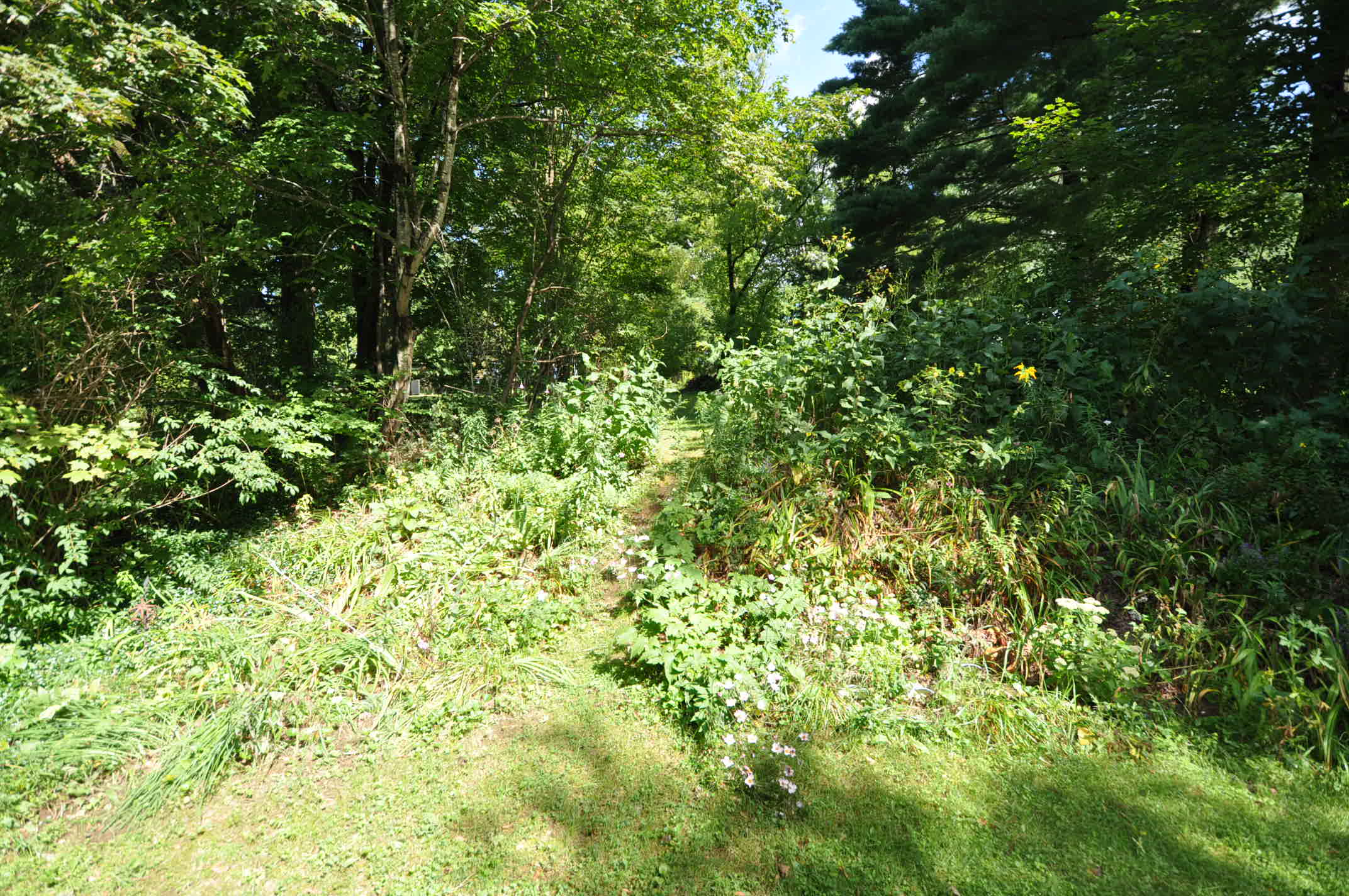 Manchester Center VT 05255
