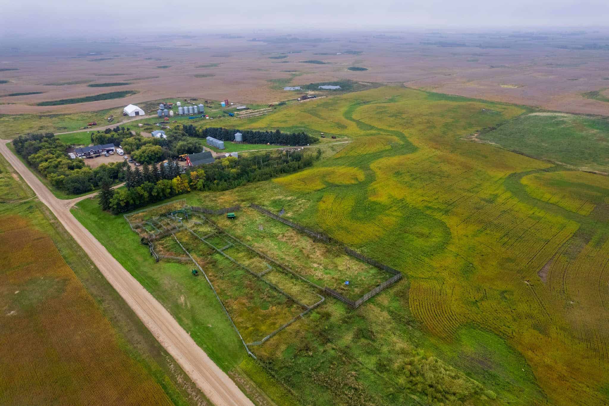 Broadview SK