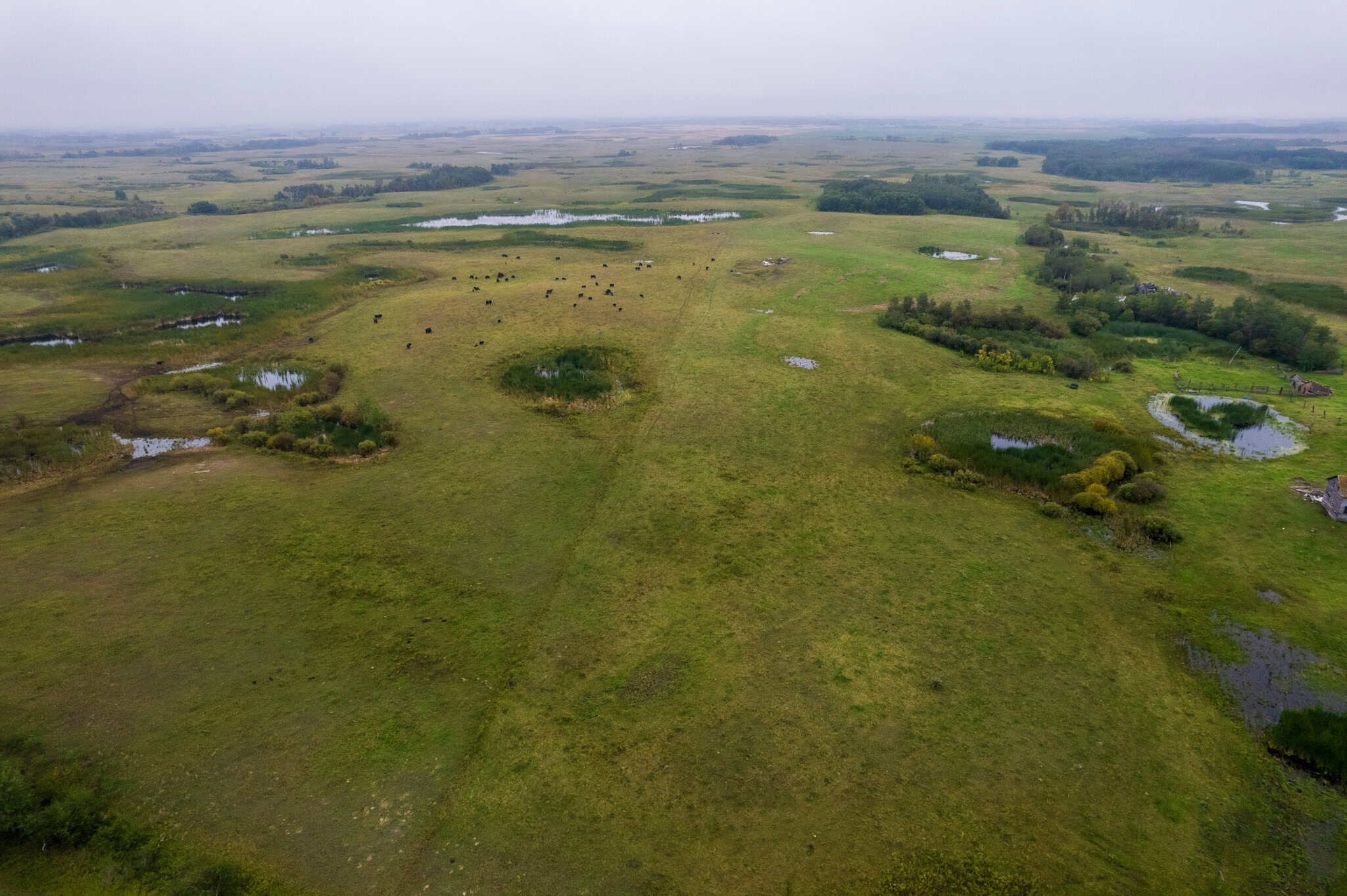 Broadview SK