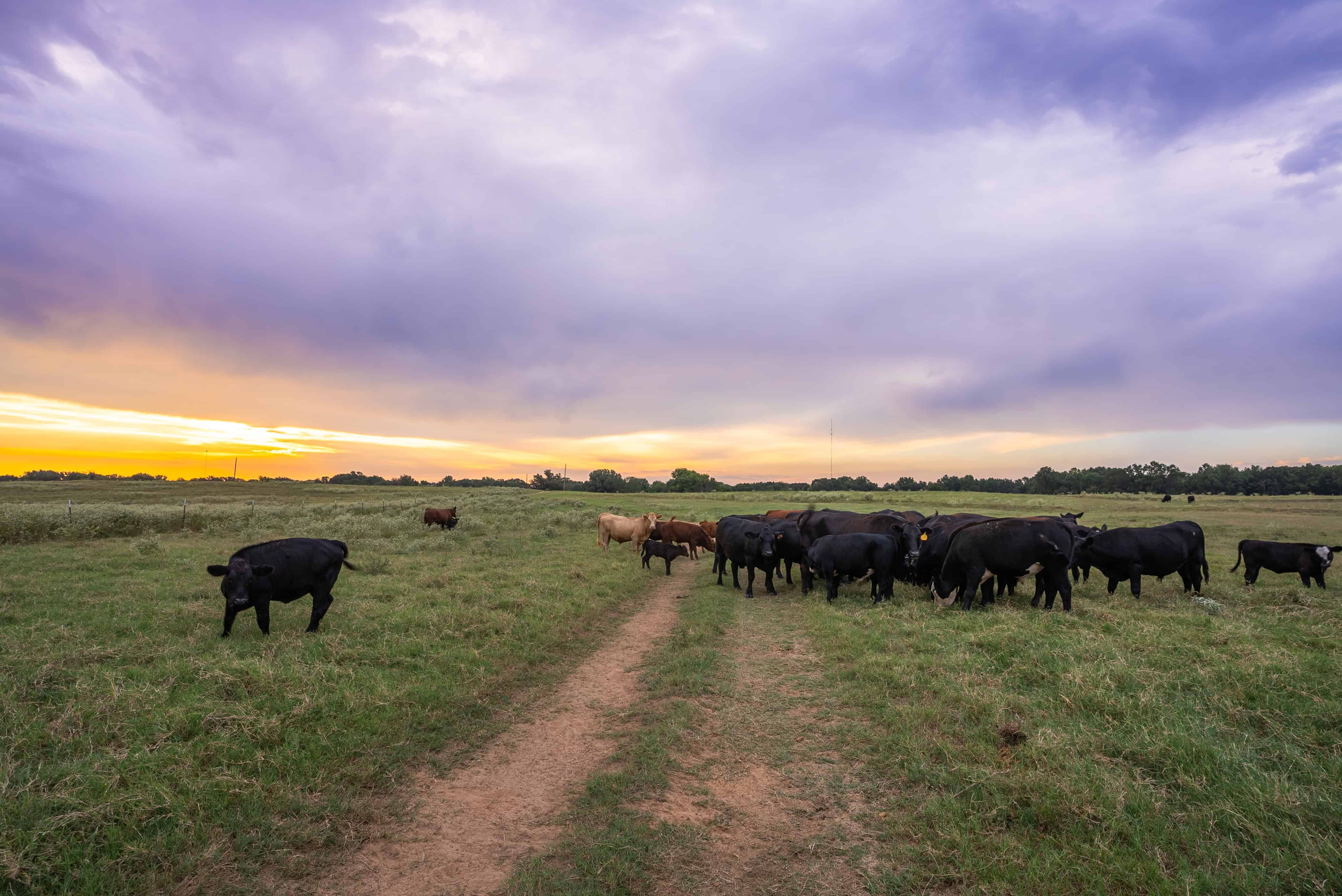 1940 Union Chapel Road Omaha TX 75571