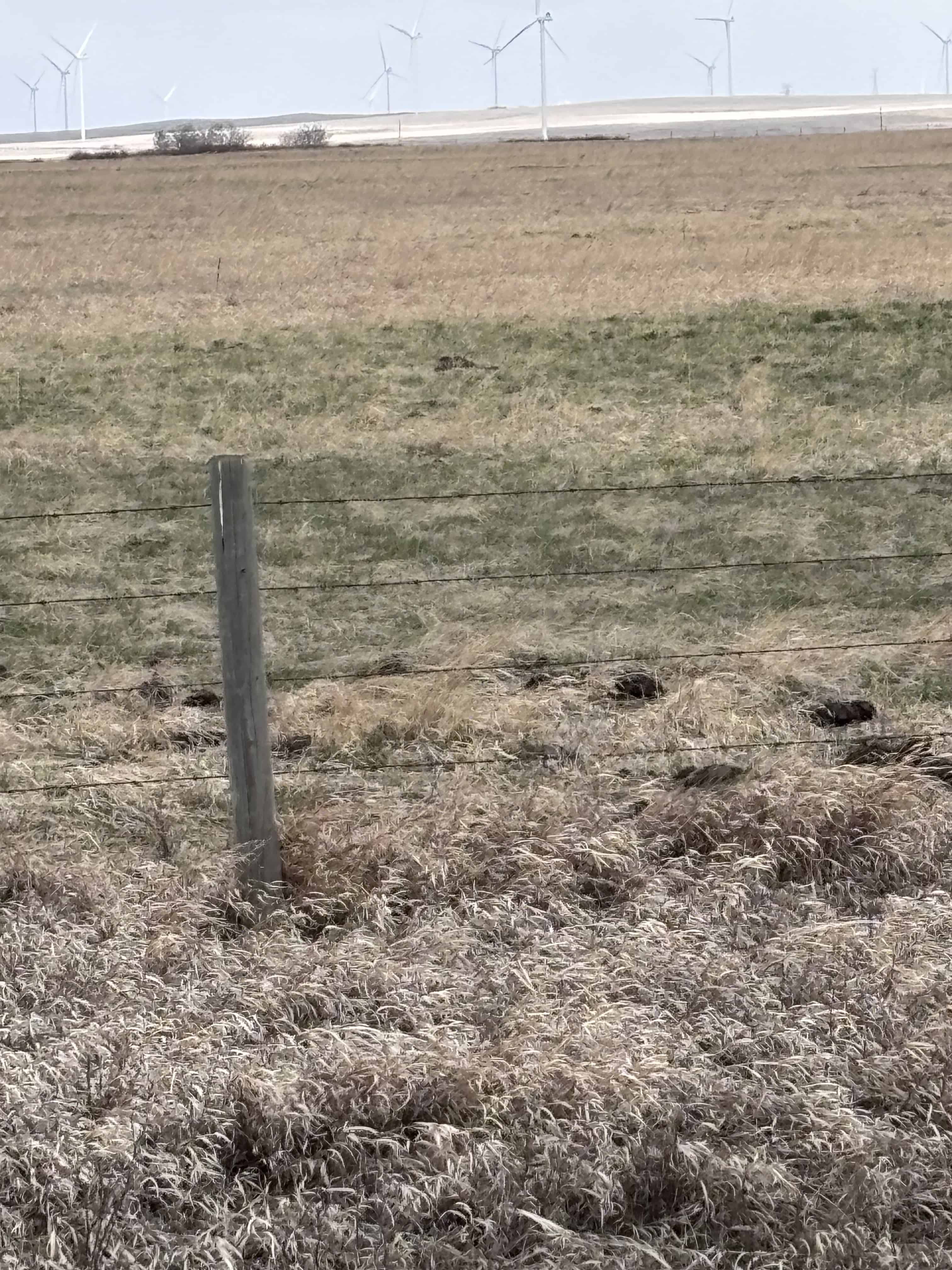 Sedalia AB
