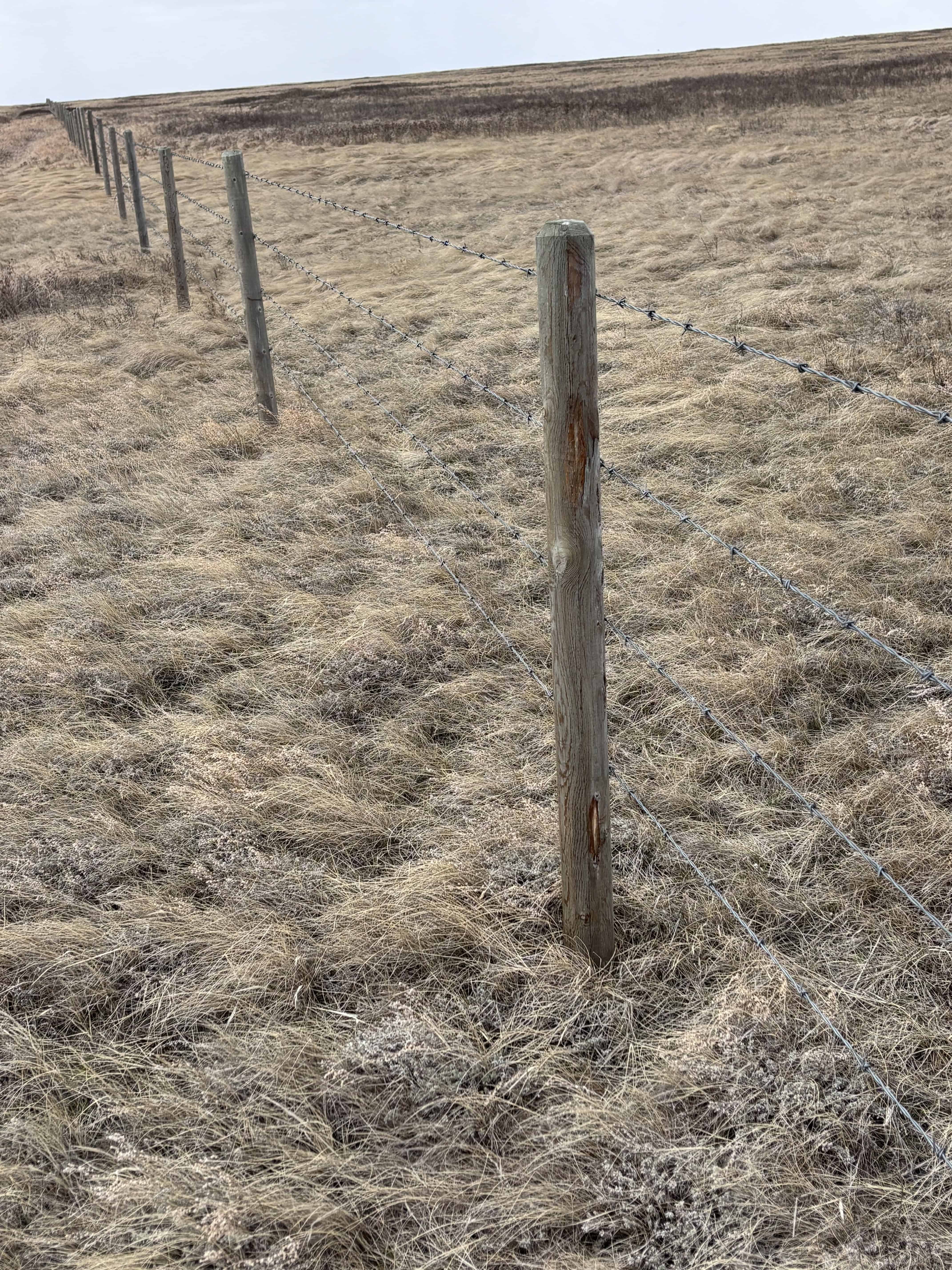 Sedalia AB
