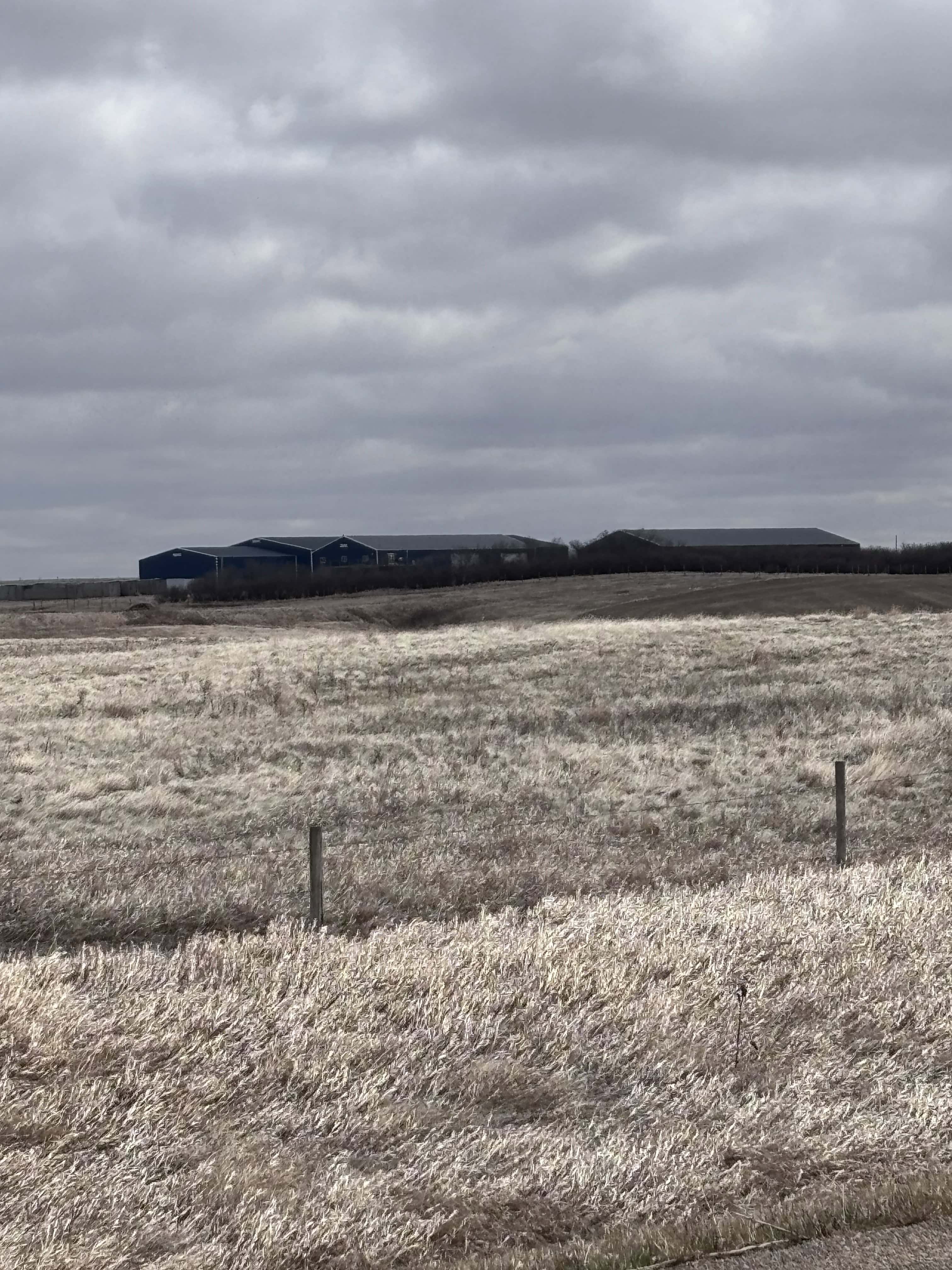 Sedalia AB