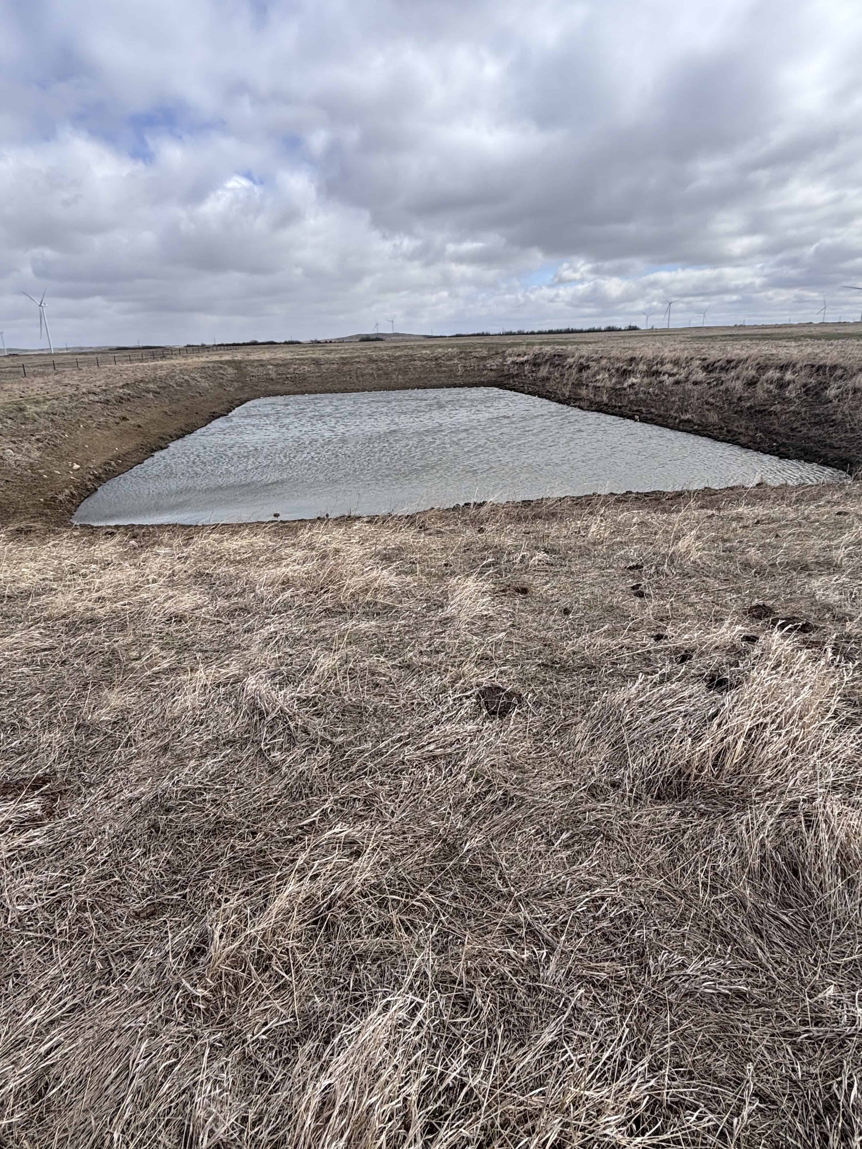Sedalia AB